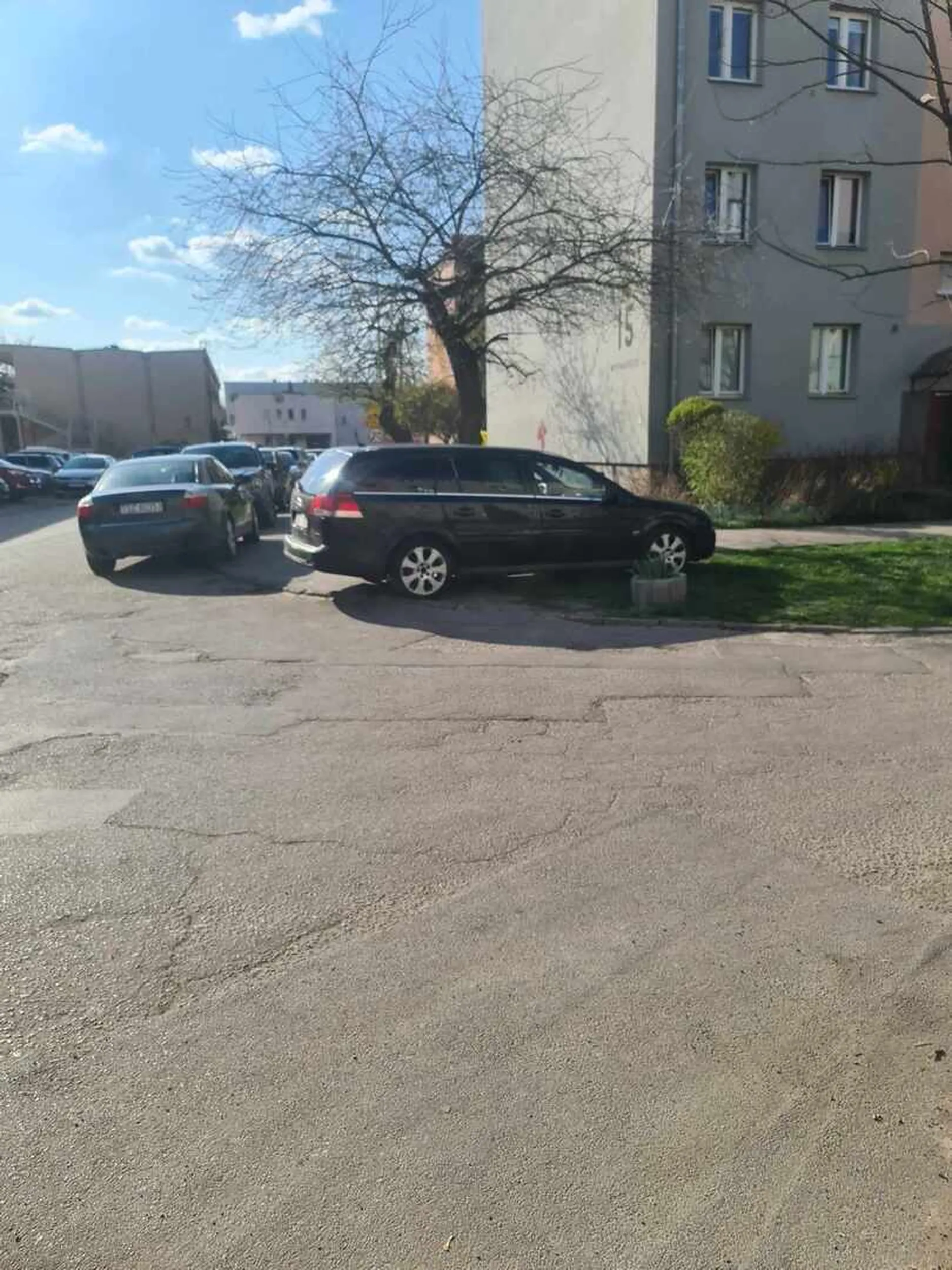 inteligencja powiatowa.