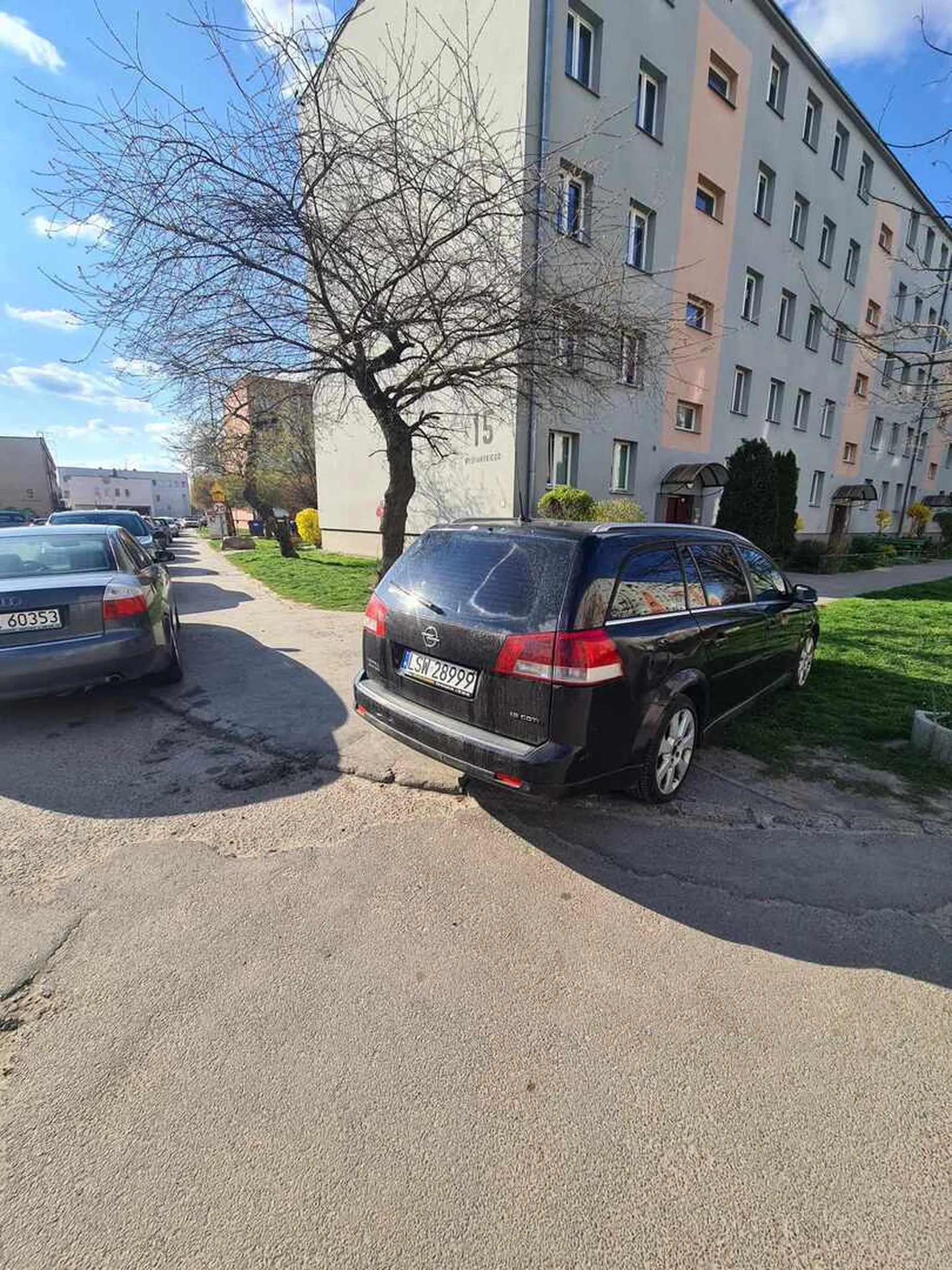 inteligencja powiatowa.