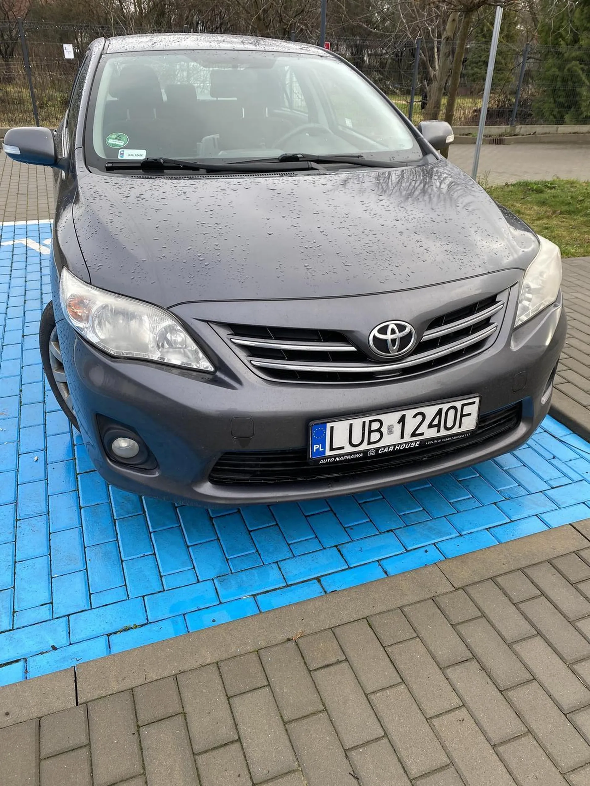 Uprawnienia zdobyte z chipsów :) Ale przyznać trzeba, że ciągle ćwiczy w tym samym miejscu i robi postępy. Mieści się już pomiędzy białymi liniami. Brawo. Spodziewam się, iż lada dzień progres będzie tak wielki, że zacznie parkować równolegle ... bo miejsc dookoła sporo. No tylko te umiejętności ...