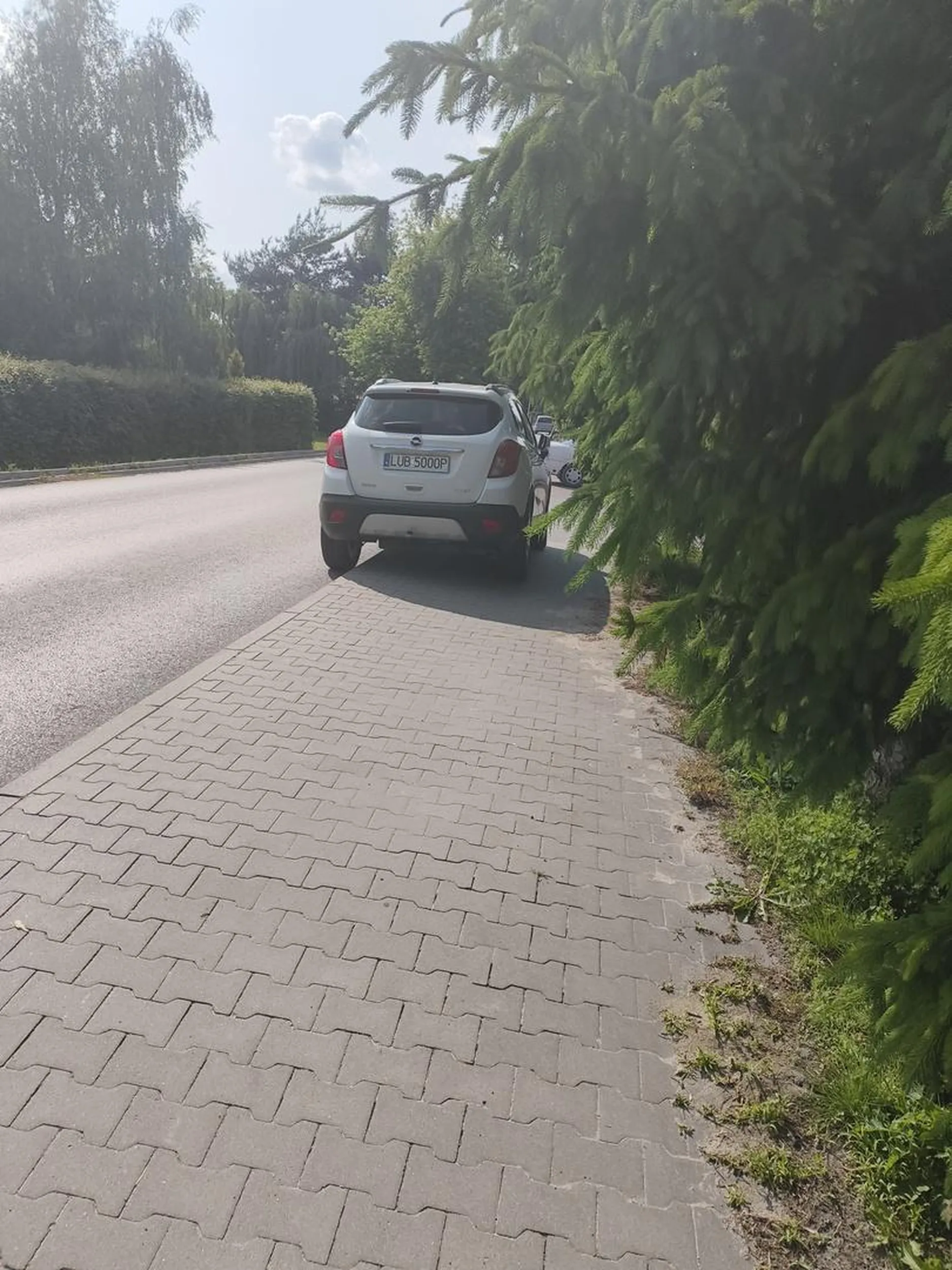 Staje na chodniku nie zostawiając żadnego miejsca na przejście zmuszając do poruszania się przez jezdnię