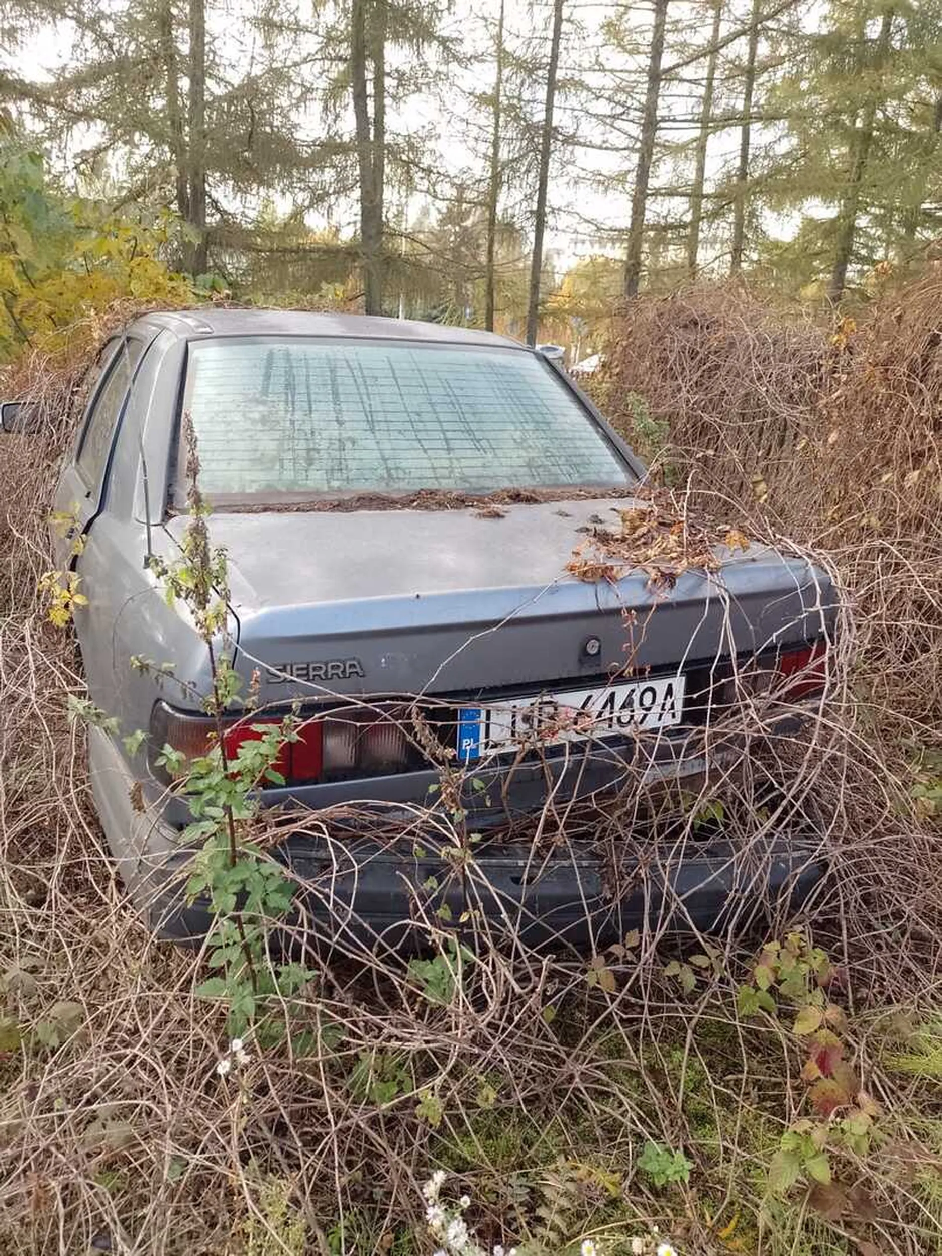 stoi tam 15 lat na parkingu płatnym na ulicy chodziki szpital