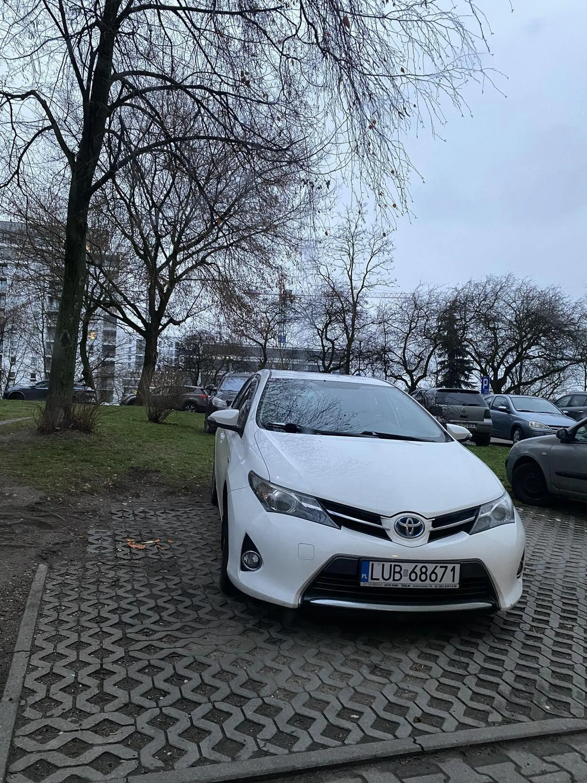 Mój pies lepie parkuje niż Ty