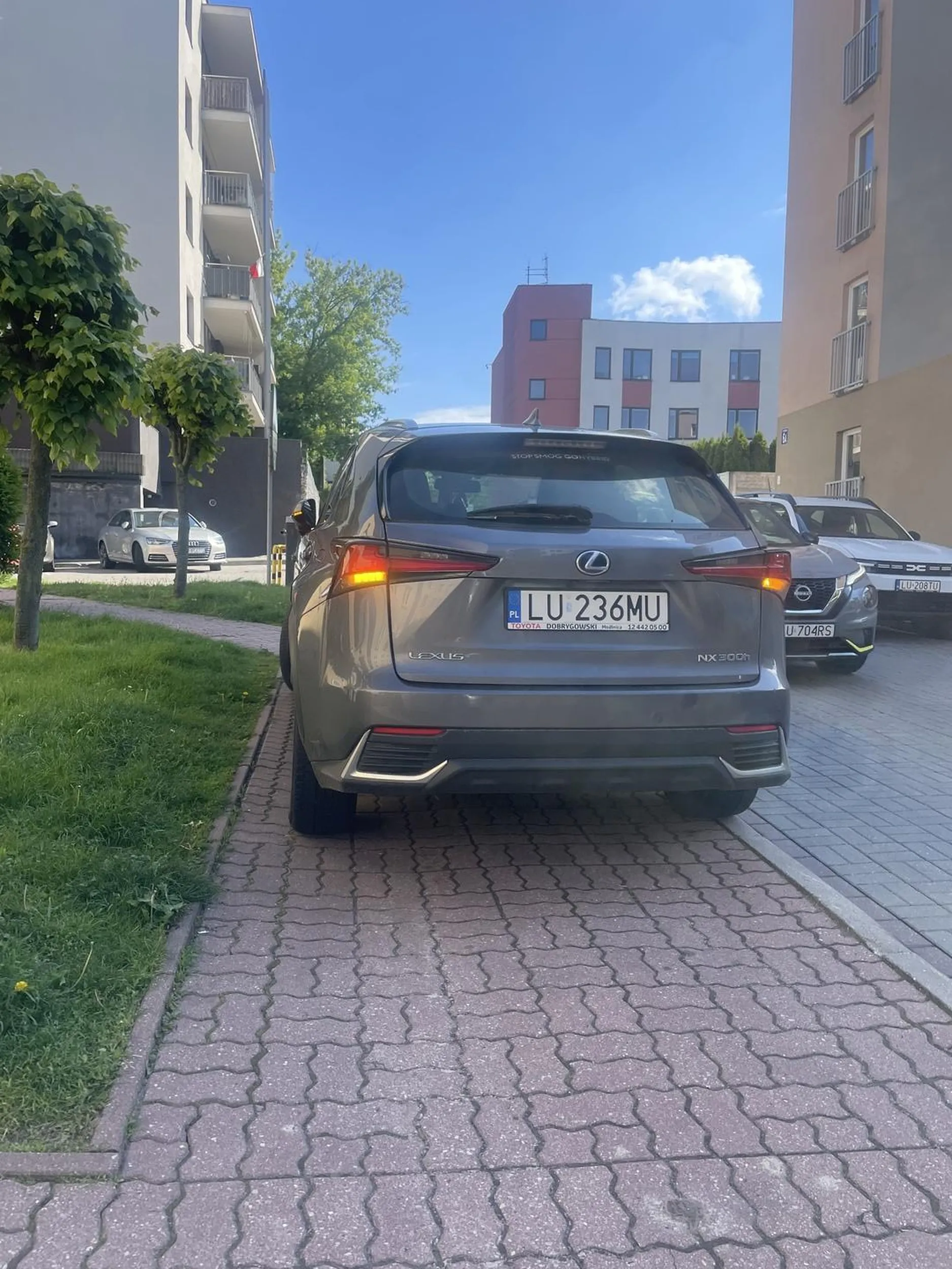 Super, parkowanie. Świetnie się nawiguje wózkiem po trawie