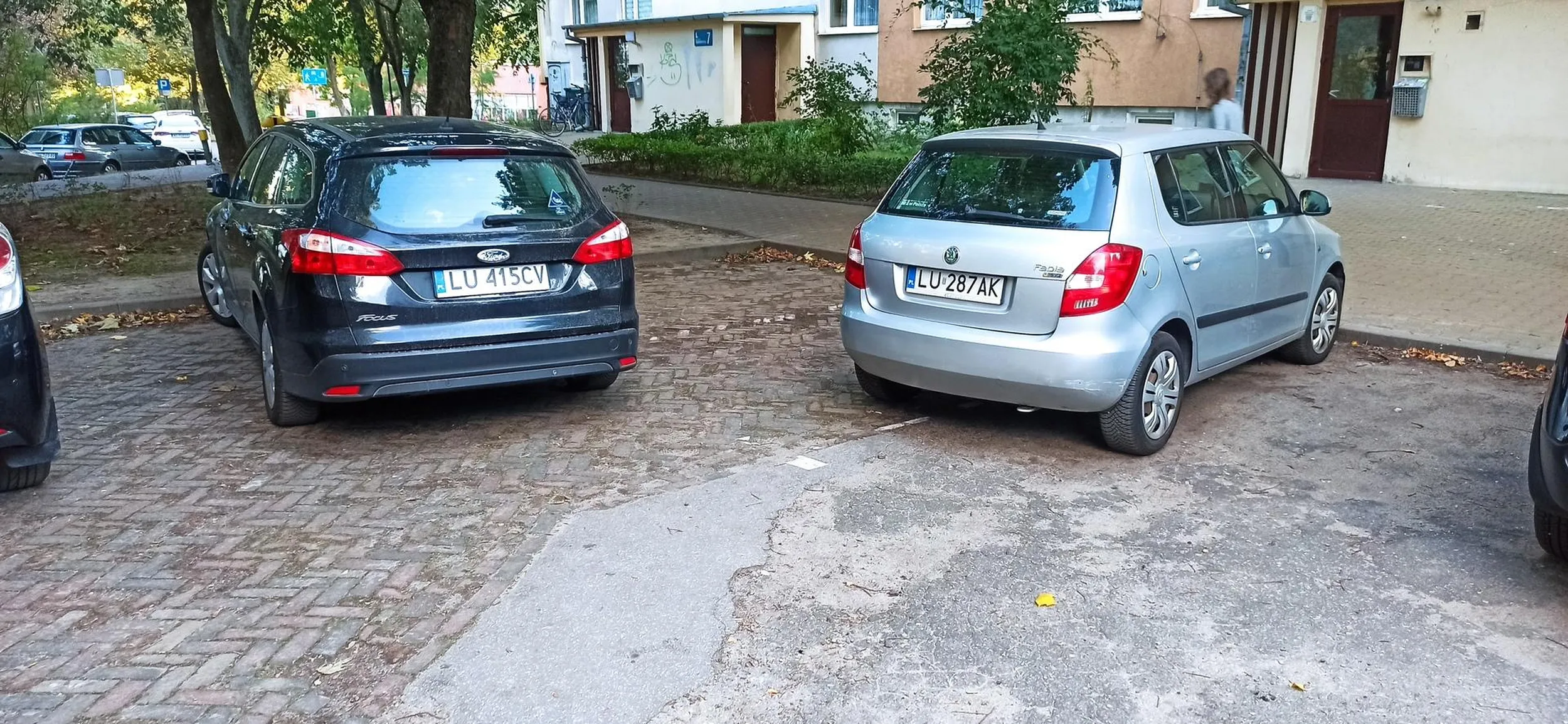 Jaki ojciec, taki syn. W ich przypadku ch... parkowanie jest genetyczne