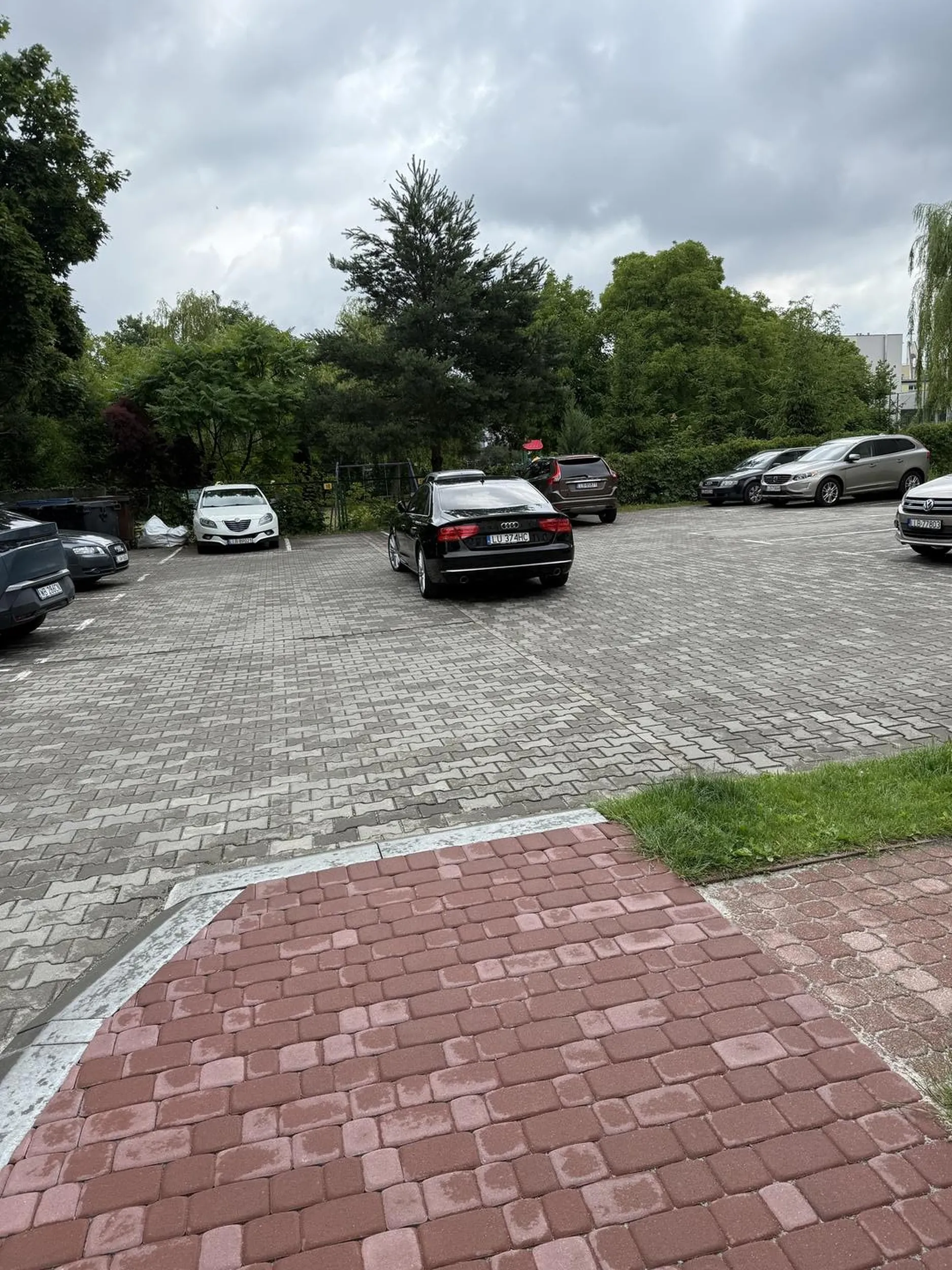 Kolega święta krowa musi stanąć na środku