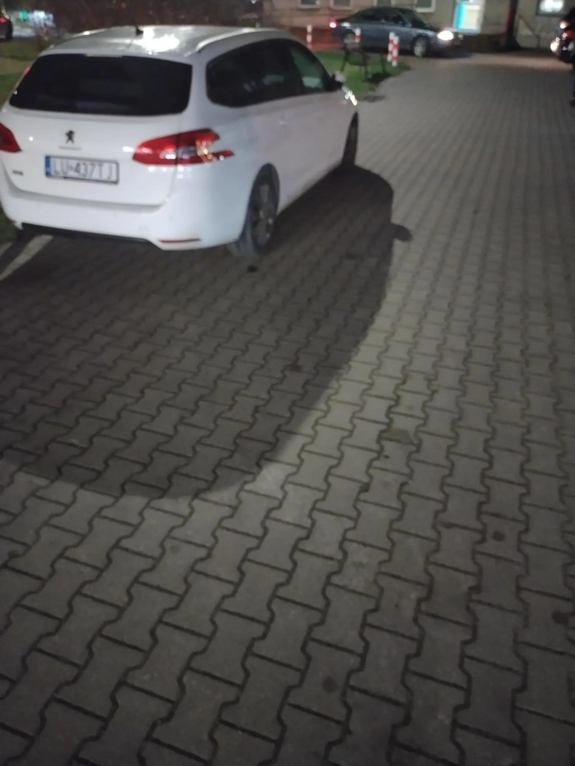 Zaparkował we wjeździe! Co za cymbał?