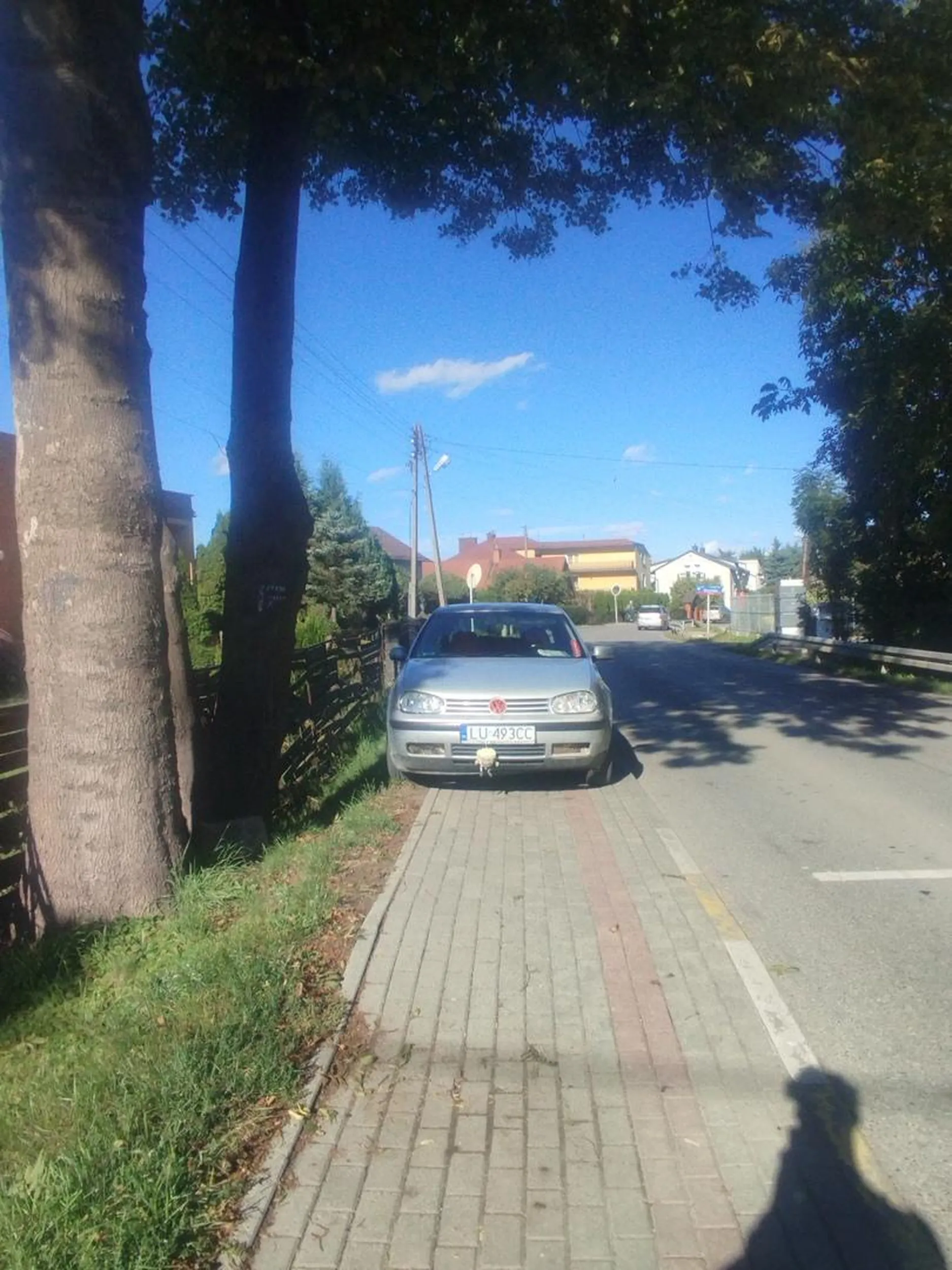 Geniusz parkowania na chodniku przed przystankiem autobusowym ?