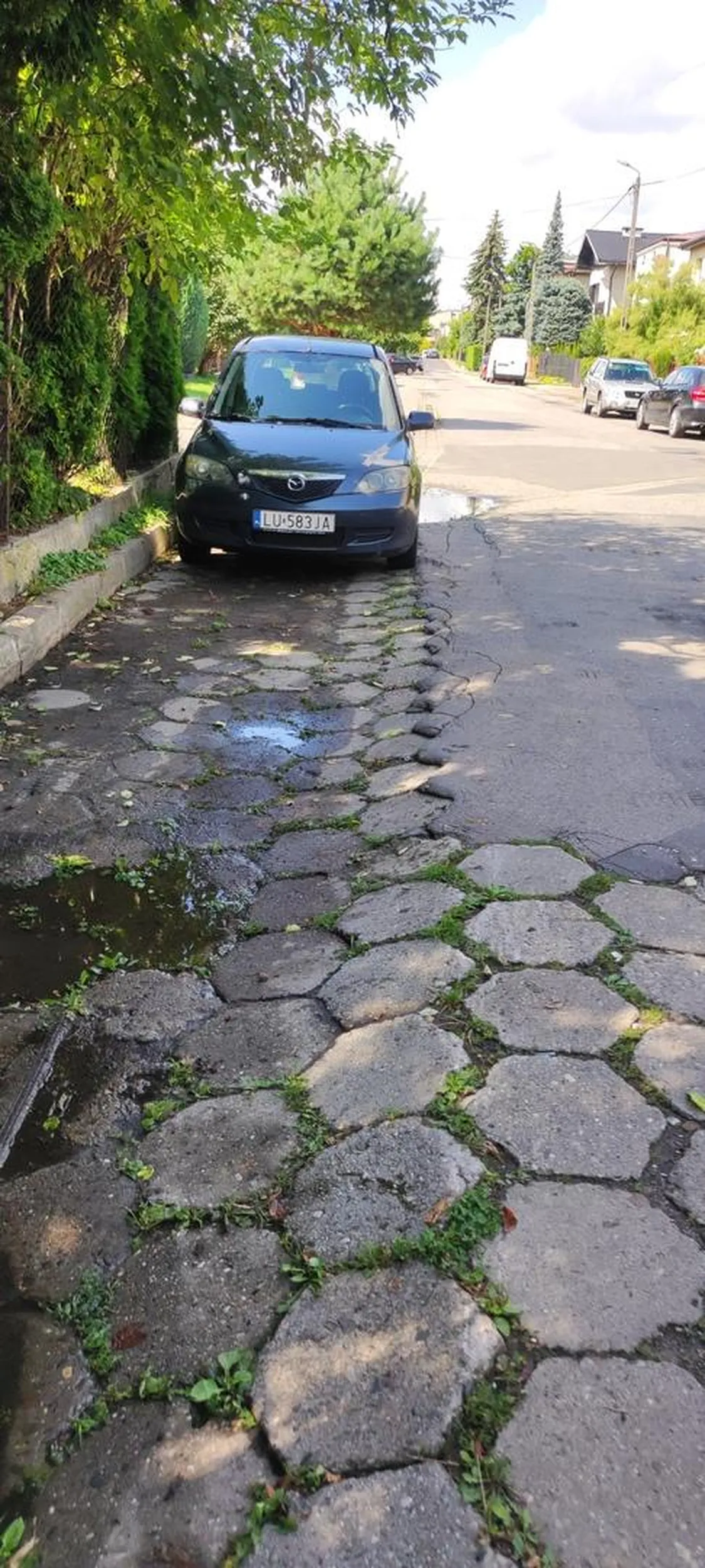 Naucz się parkować i przestań blokować przejazd