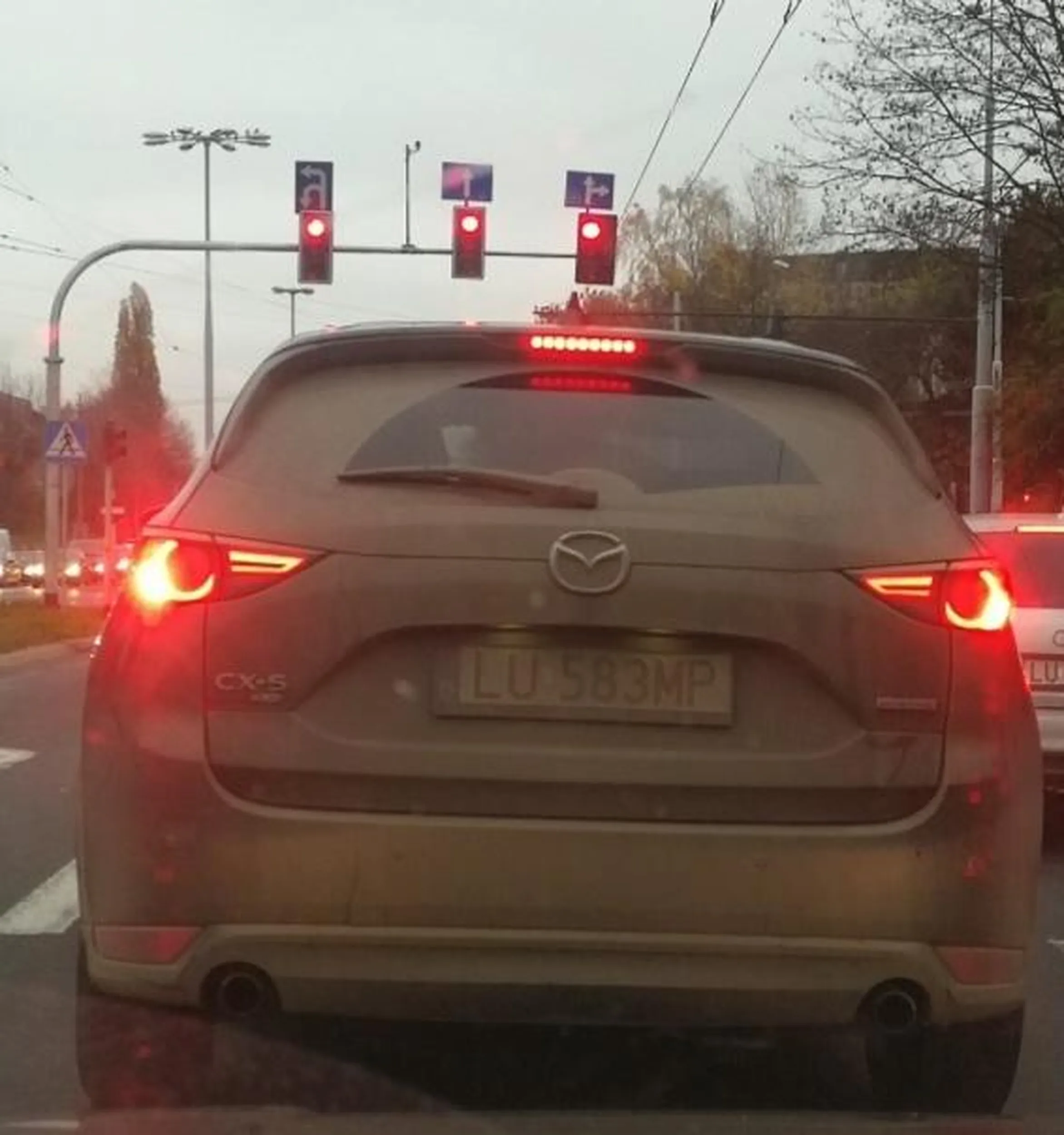 No piękny, piękny.