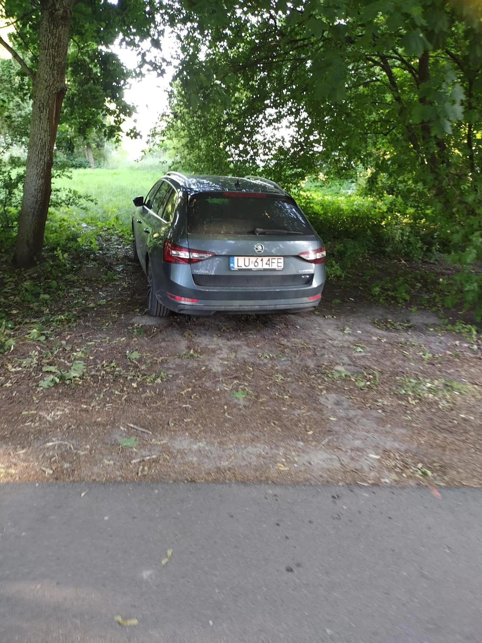 Spacer na łonie natury, ale przejść z parkingu już nie potrafi.... Lepiej zaparkować na trawniku. Co za buraki rasowe!!!