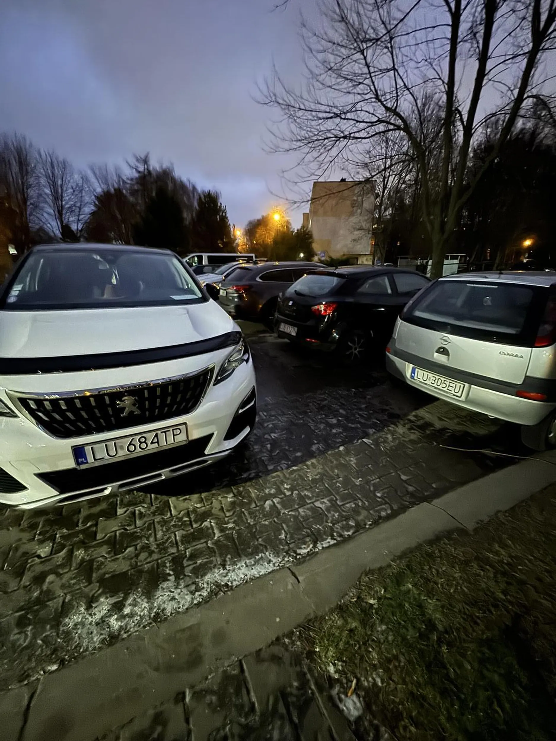 Jakim trzeba być…. Iq na poziomie 0.