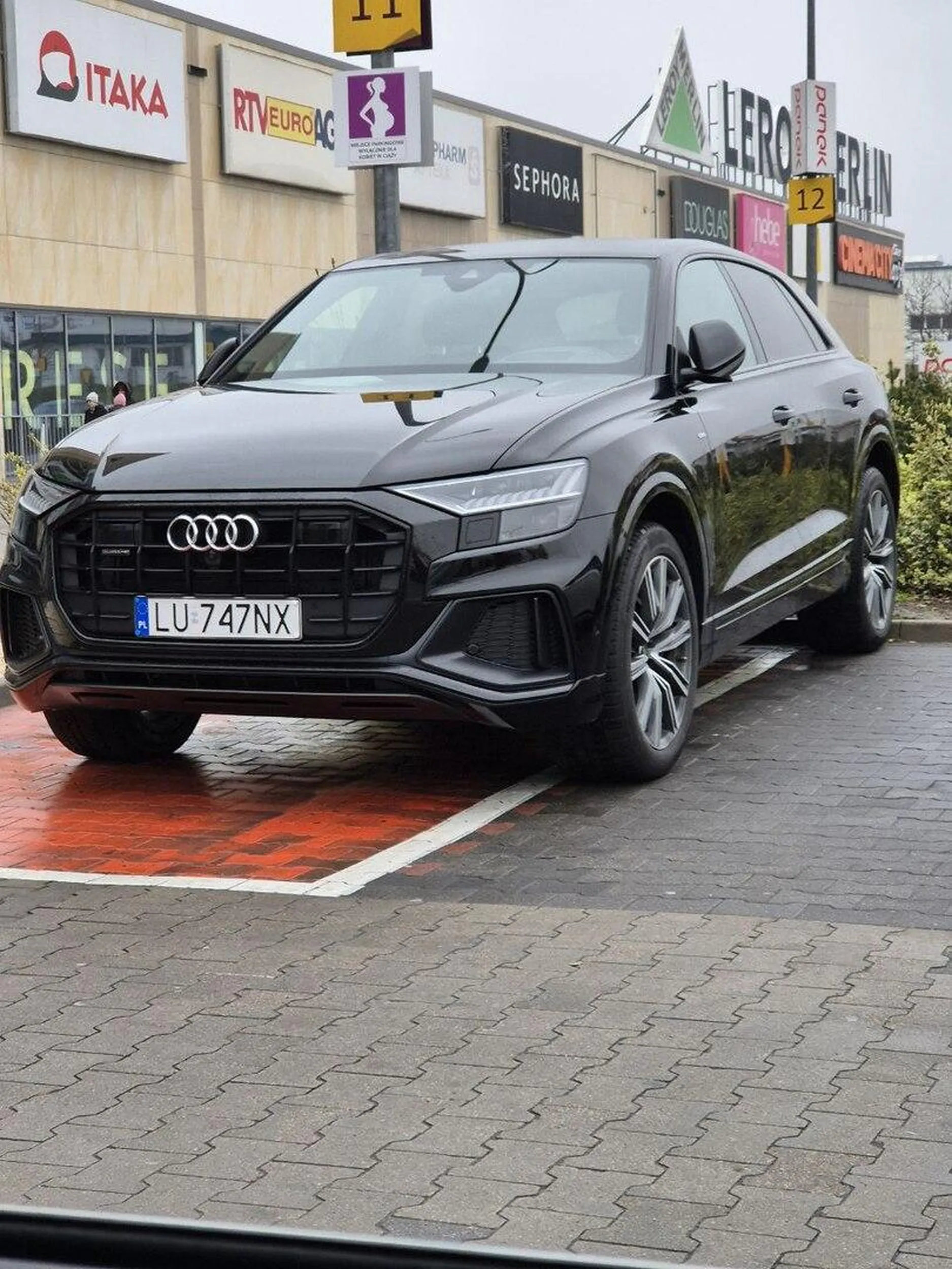 W zasadzie zdjęcie mówi samo za siebie. Od razu widać z jakim sortem cwaniaka mamy doczynienia.