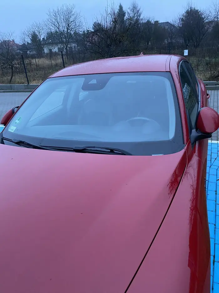 ... "spokojnie mam dokument o mojej niepełnosprawności (umysłowej) ... tylko zapomniałem ... znowu ..."