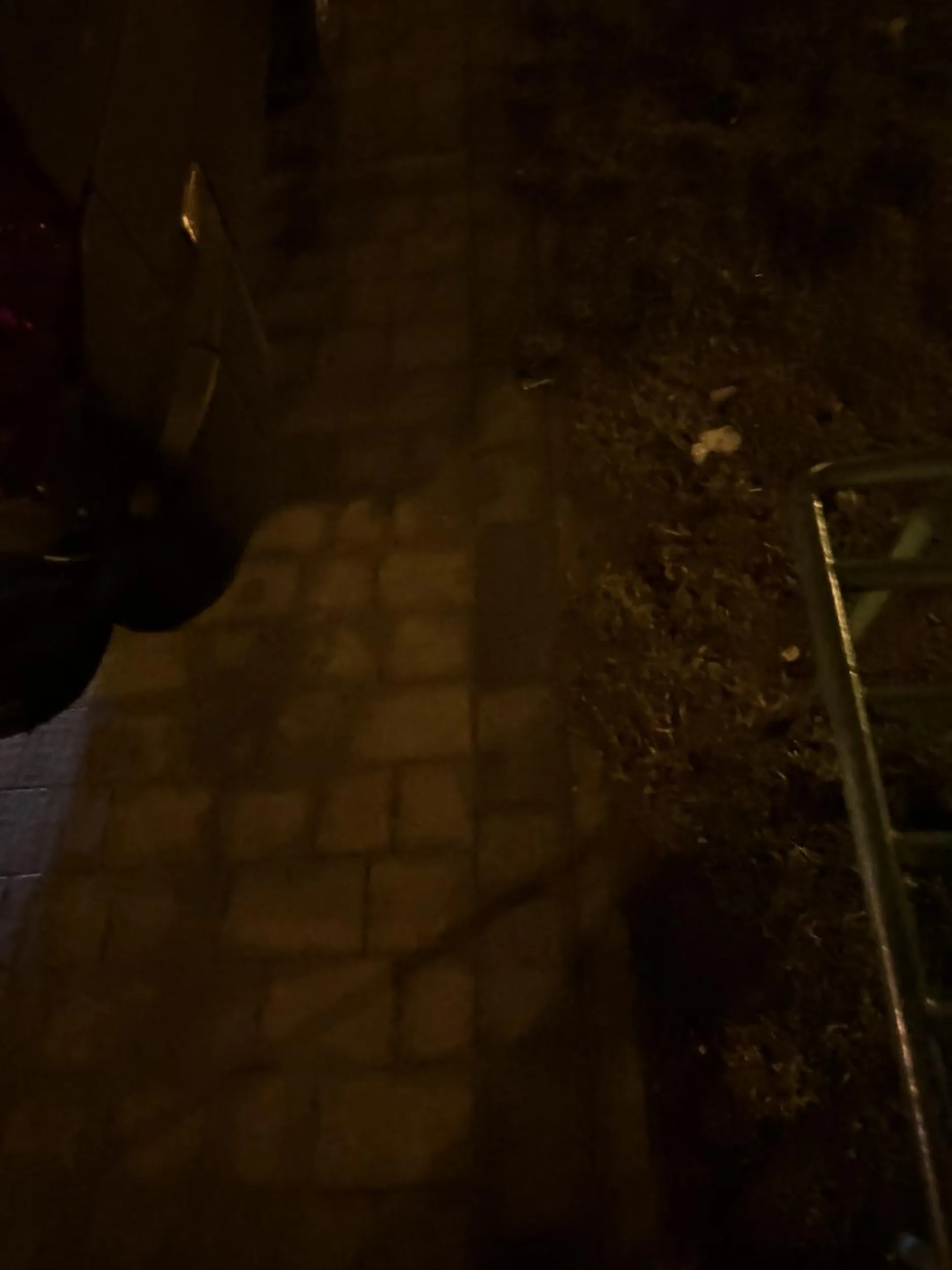 Naucz się parkować albo auto na mniejsze zmień. 1,5m chodnika ma zostać a po twoich manewrach nie ma nawet pół metra. Stawiasz na dwóch miejscach parkingowych pod blokiem, nie nauczyli cię ani parkować ani przepisów. Zacznę w końcu dzwonić na policję i będziesz mandaciki płacić za brak umiejętności parkowania. Notorycznie się to powtarza, że stajesz jak (…) na tym parkingu.