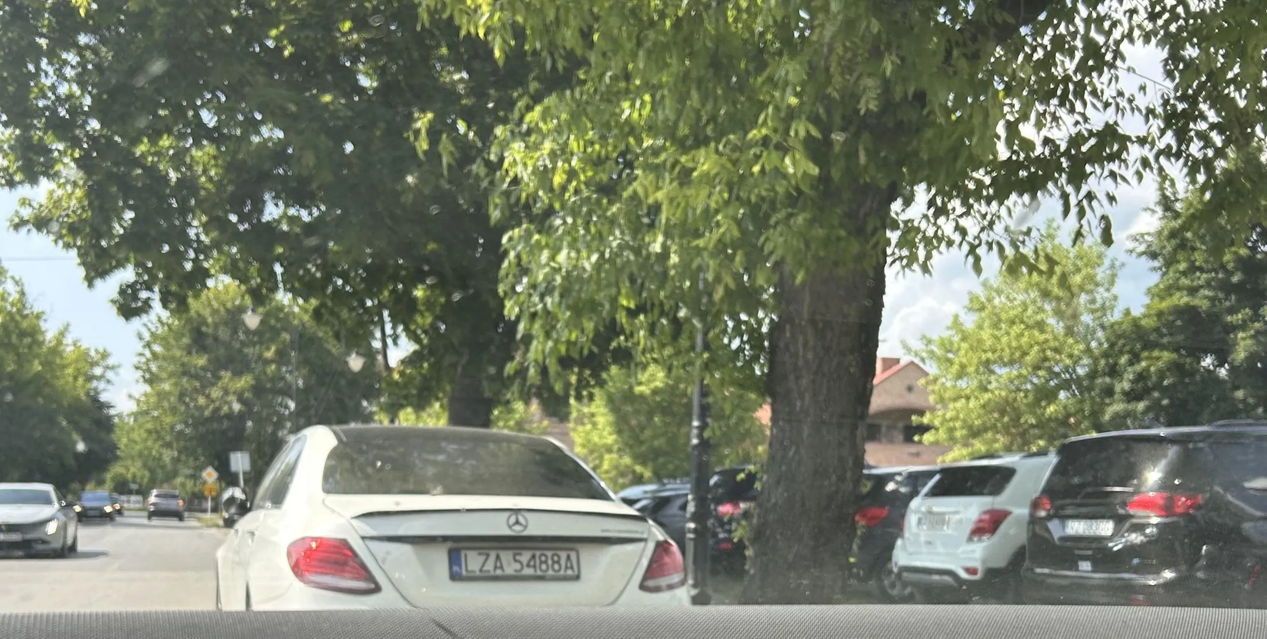 Tępa masa - Ludź Zebany Absolutnie