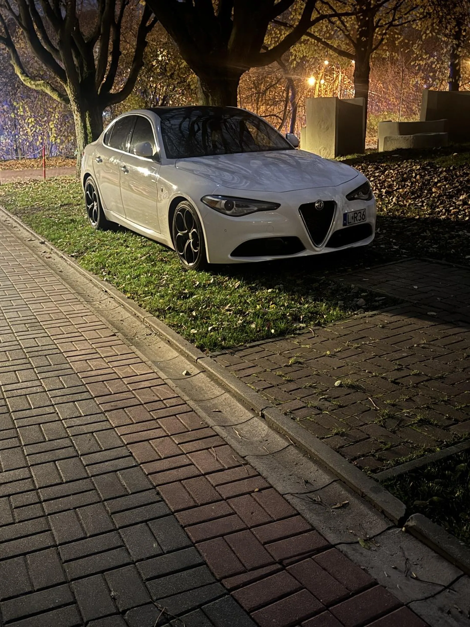 Samochód zaparkowany na trawniku, sytuacja powtórzyła się kilka razy