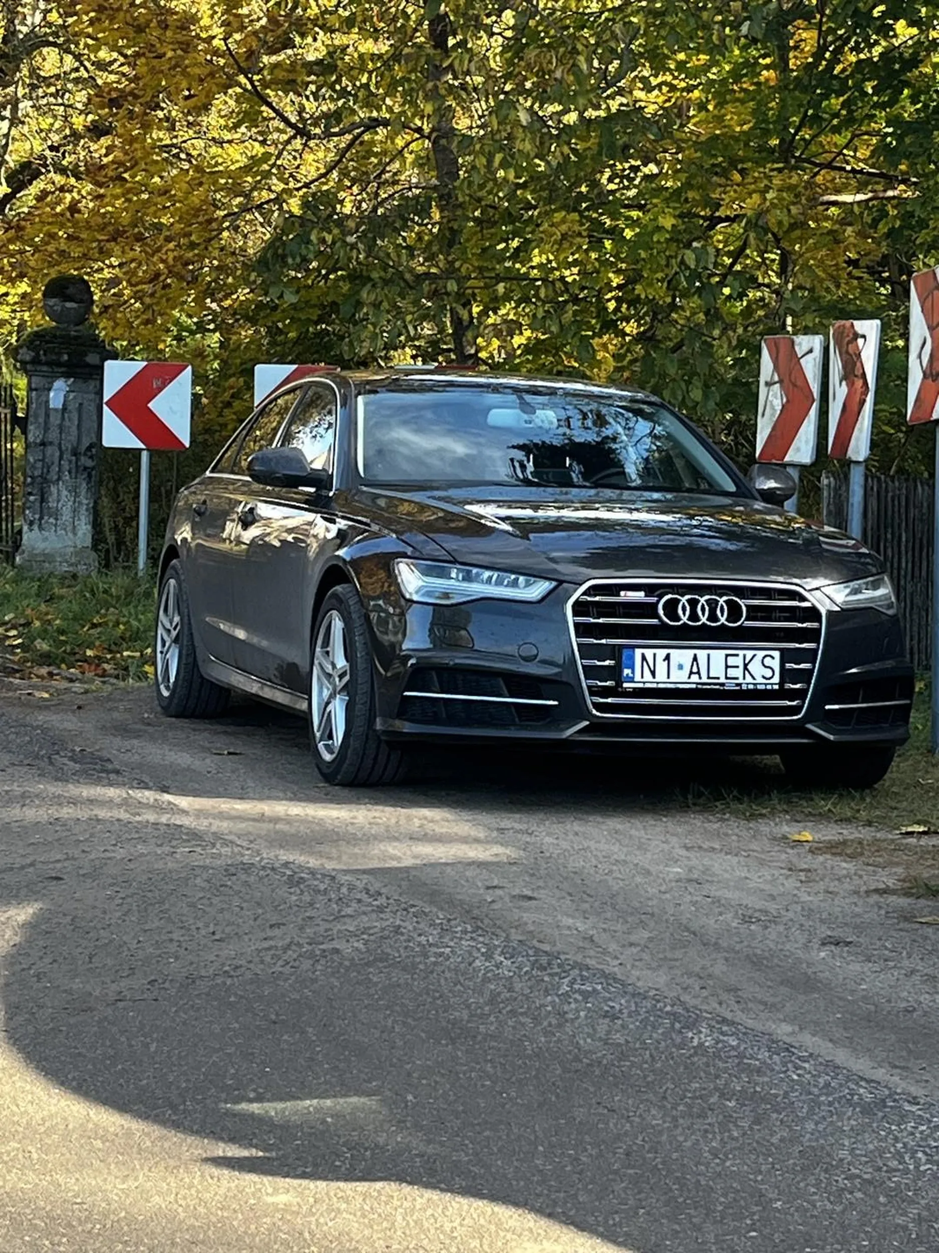 Jakiś Baran parkuje na zakręcie i nie można wyminąć samochodu z nad przeciwka jakiś inwalida z żółtymi papierami