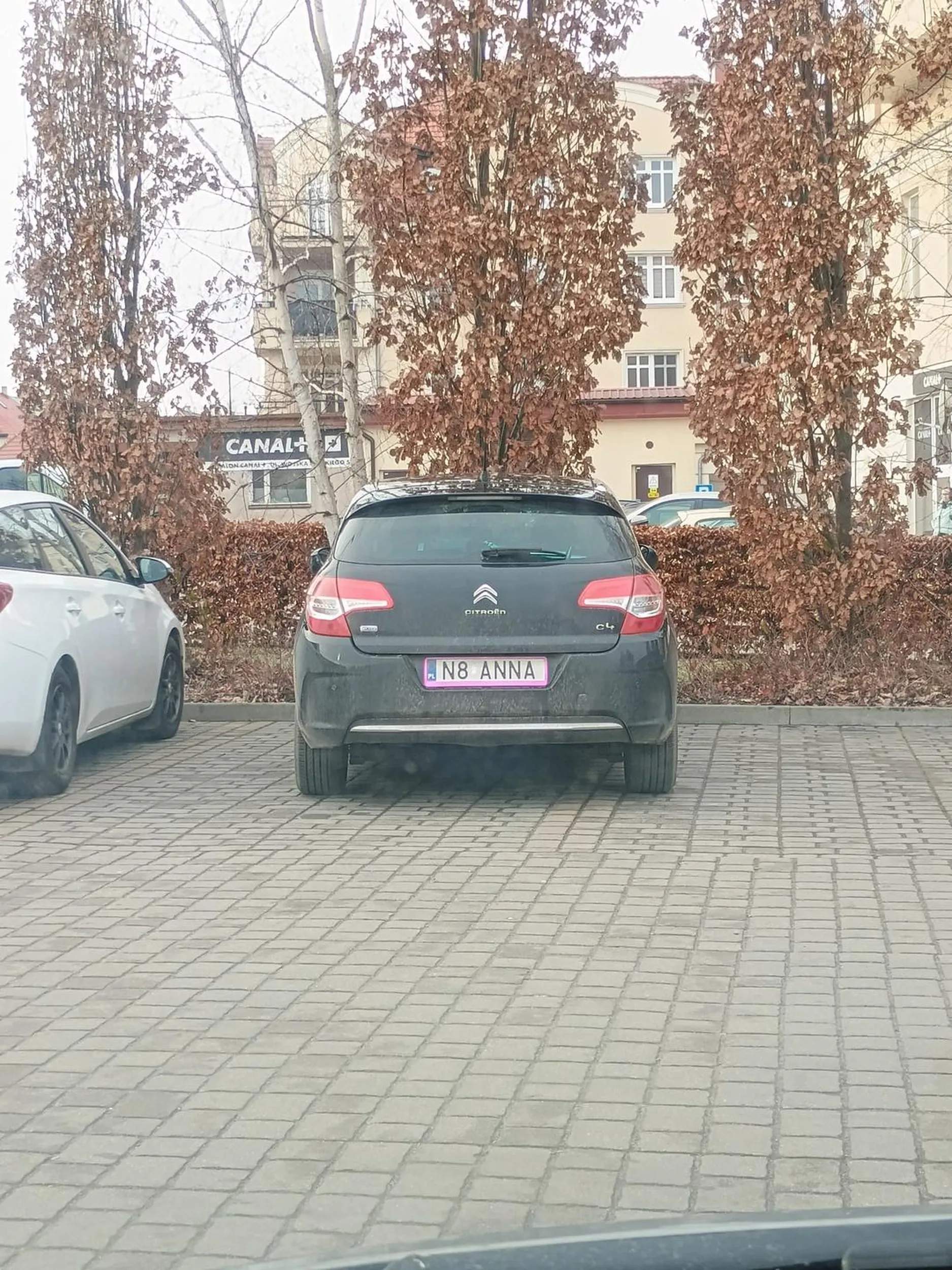 Prawie się udało prosto