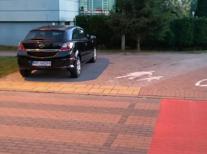 Bez komentarza, prawko wygrane w kasynie