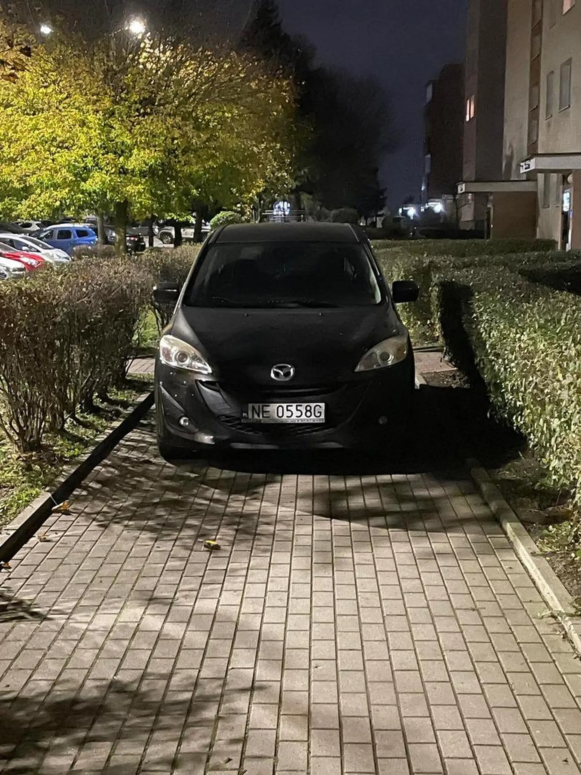 Widać że to życiowa niedojda