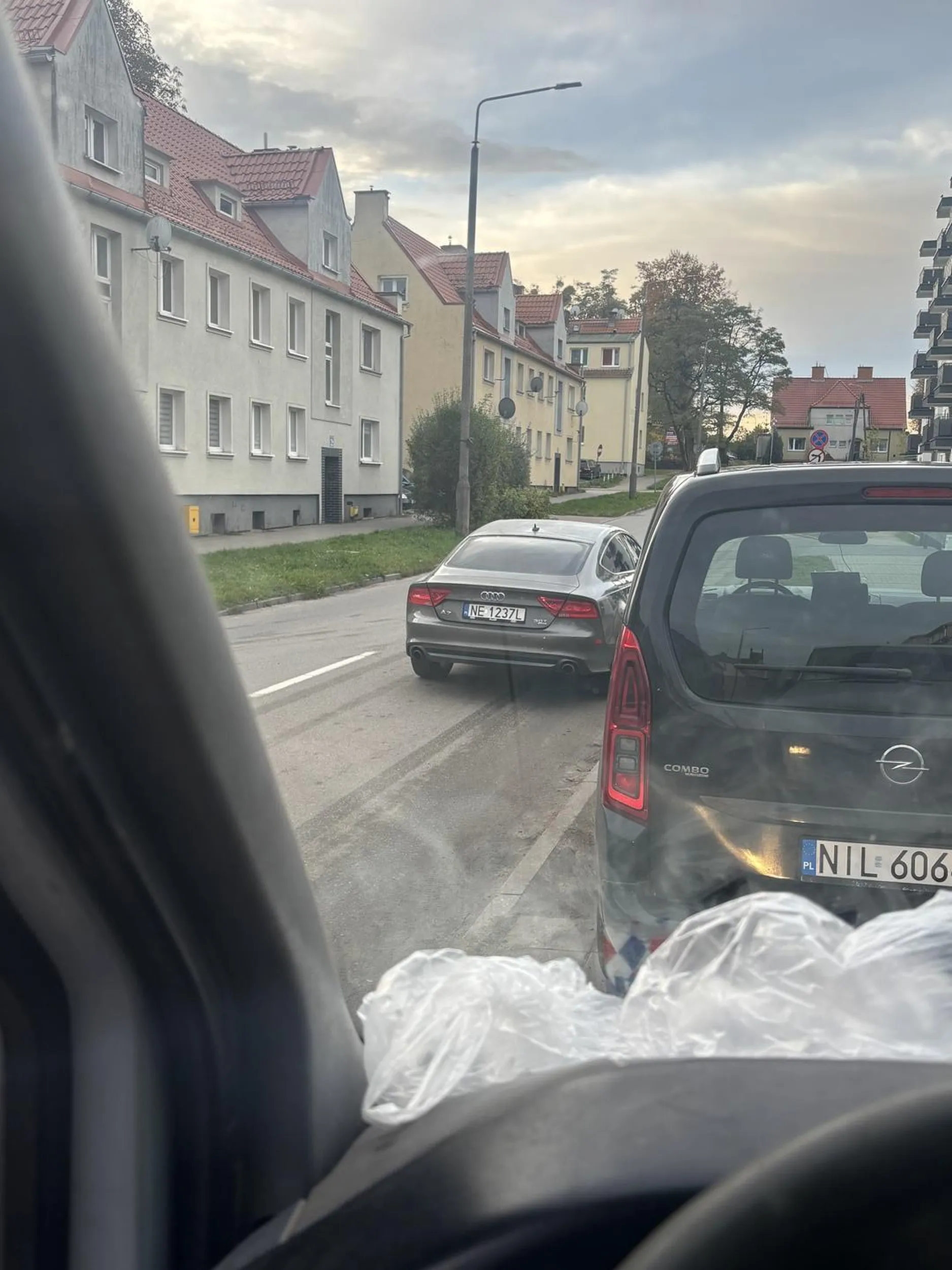 Staje na środku drogi