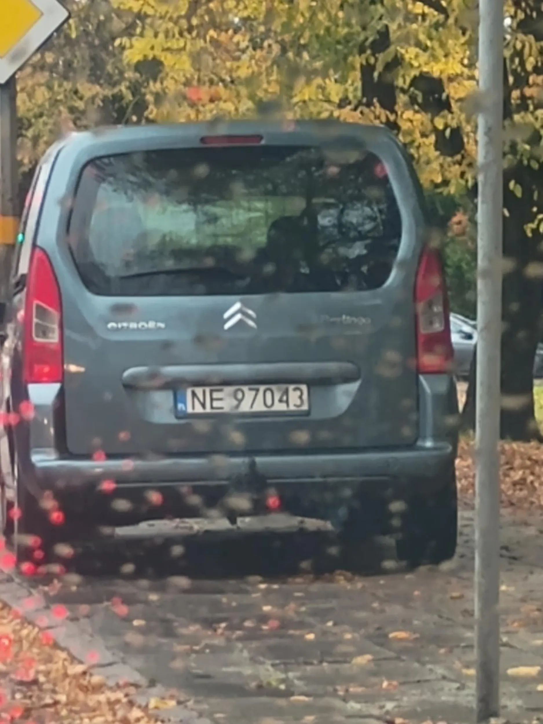 Parkowanie na chodniku