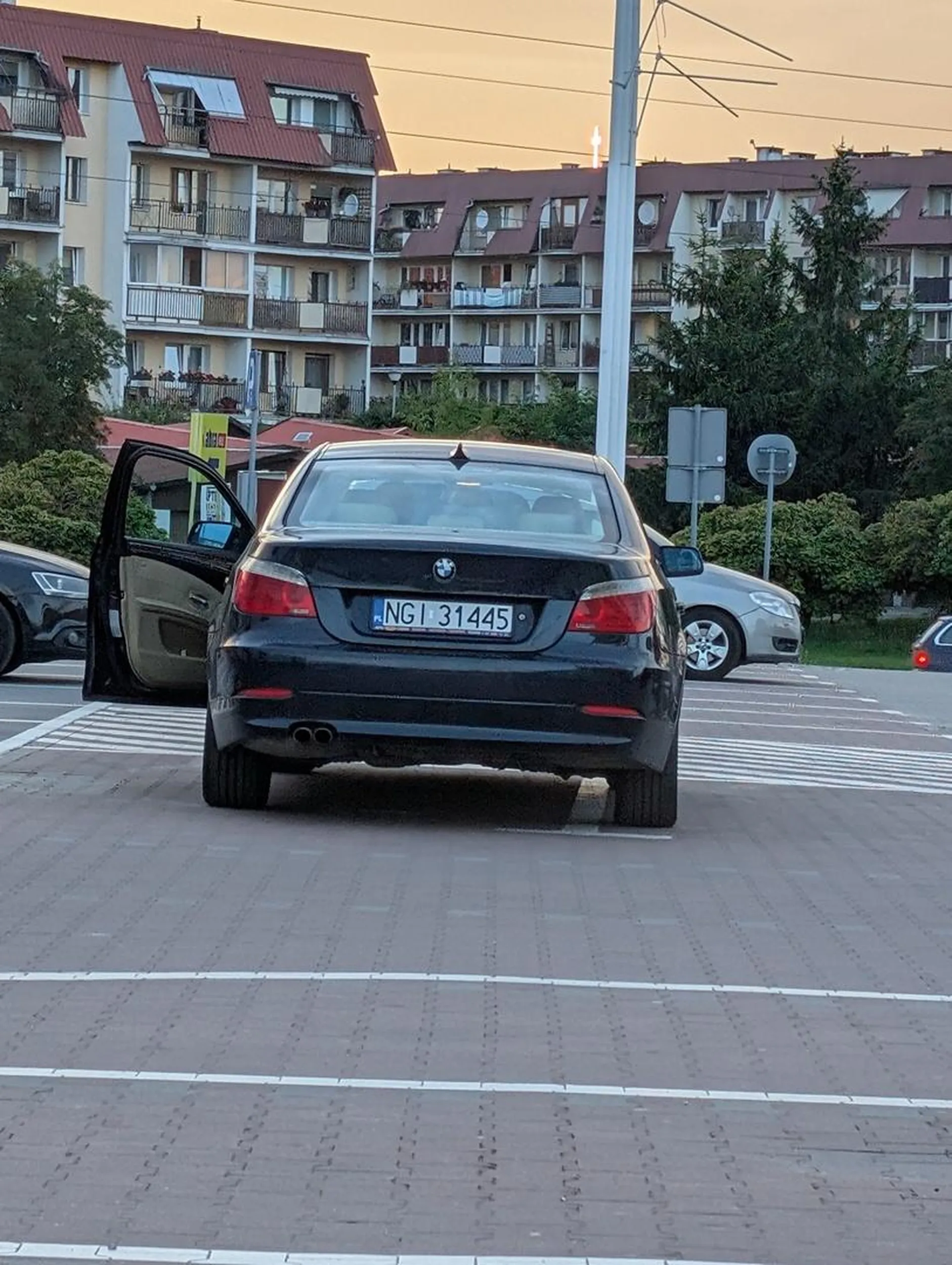 Miszczyni parkowania