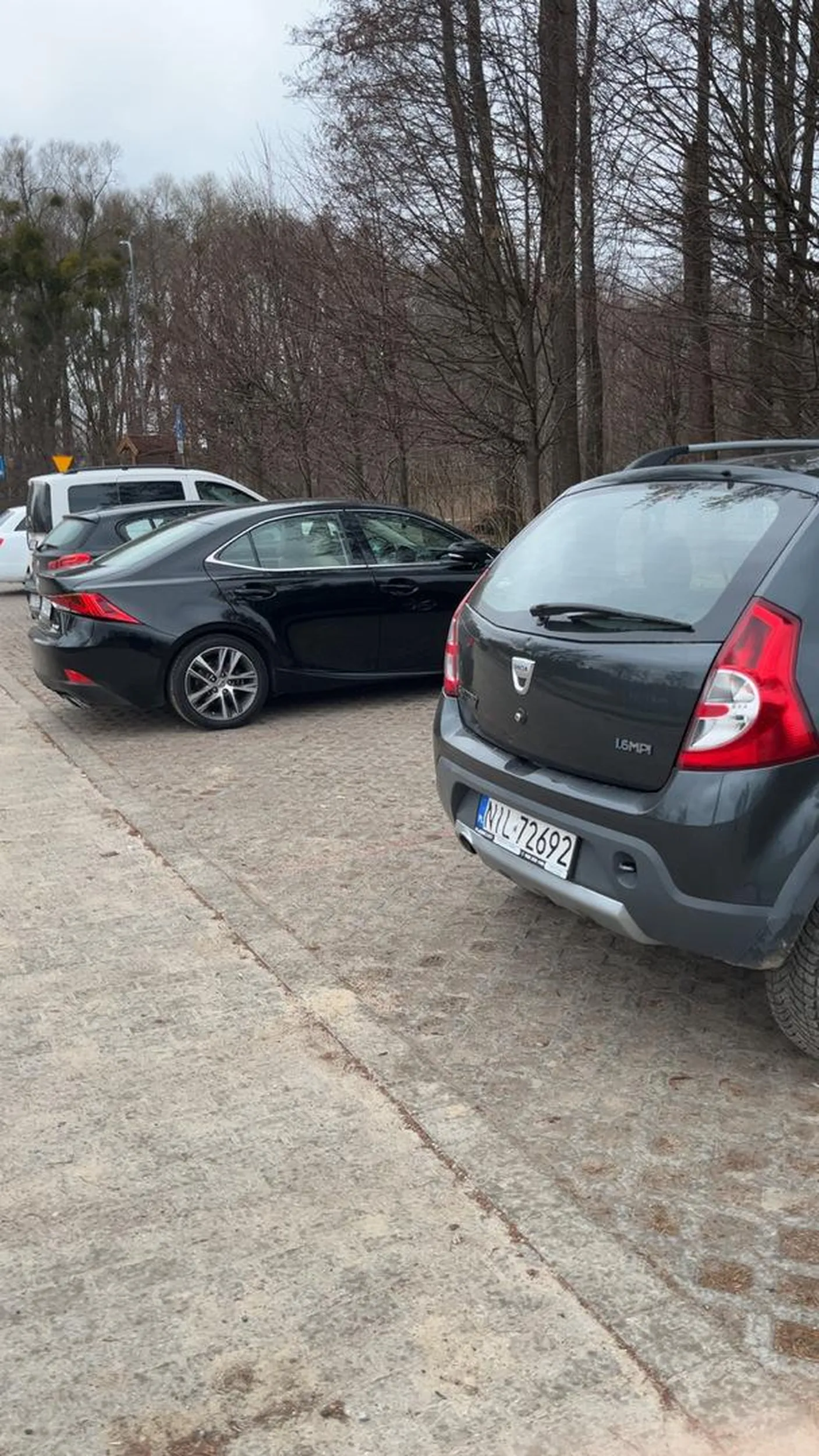 Dobry kierowca, zapie**ala stepsister.