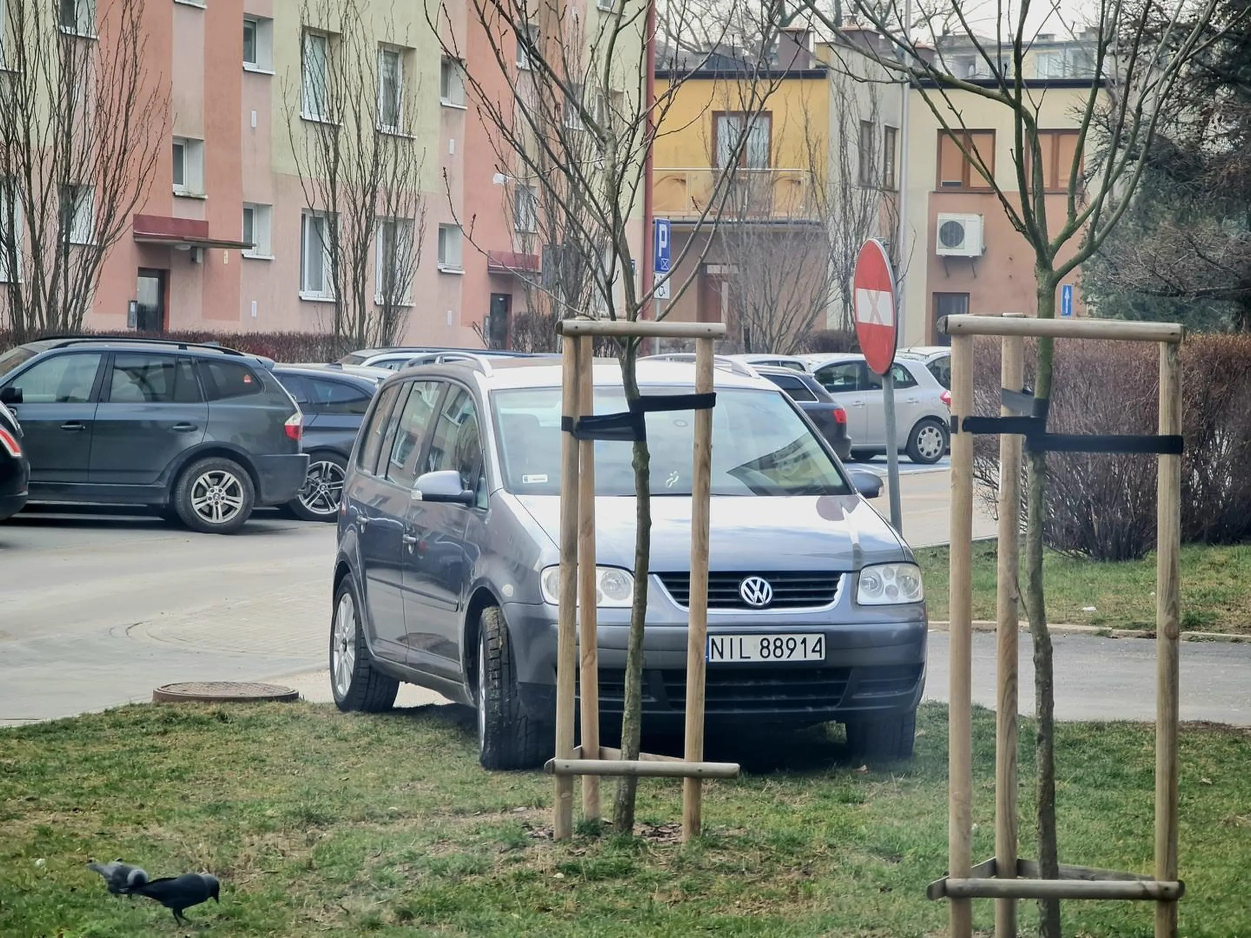 Tacy ludzie jak ten czują się bezkarni, w końcu on tylko na chwilę zaparkuje na trawniku zamieniając go w końcu w bagno. Wiedz chłopie, że nie odpuszczę i każda taka akcja skończy się na policji, a może nawet w sądzie, w końcu mam czas.