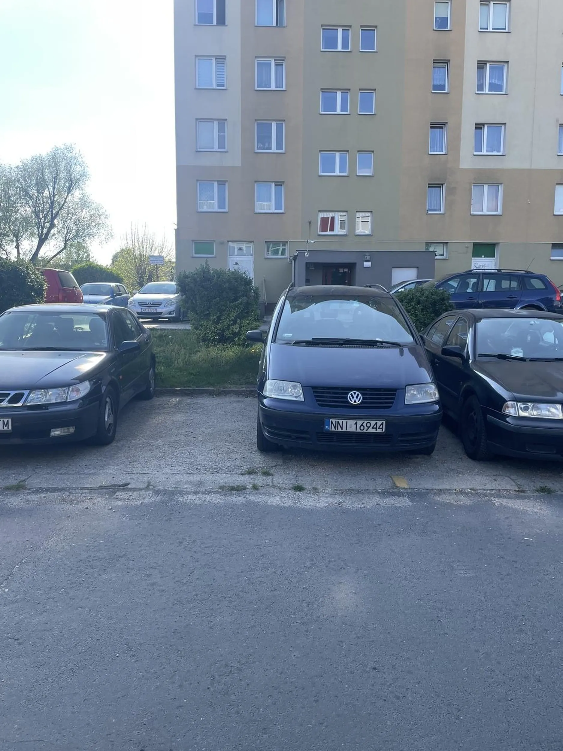 Nie potrafi parkować w liniach