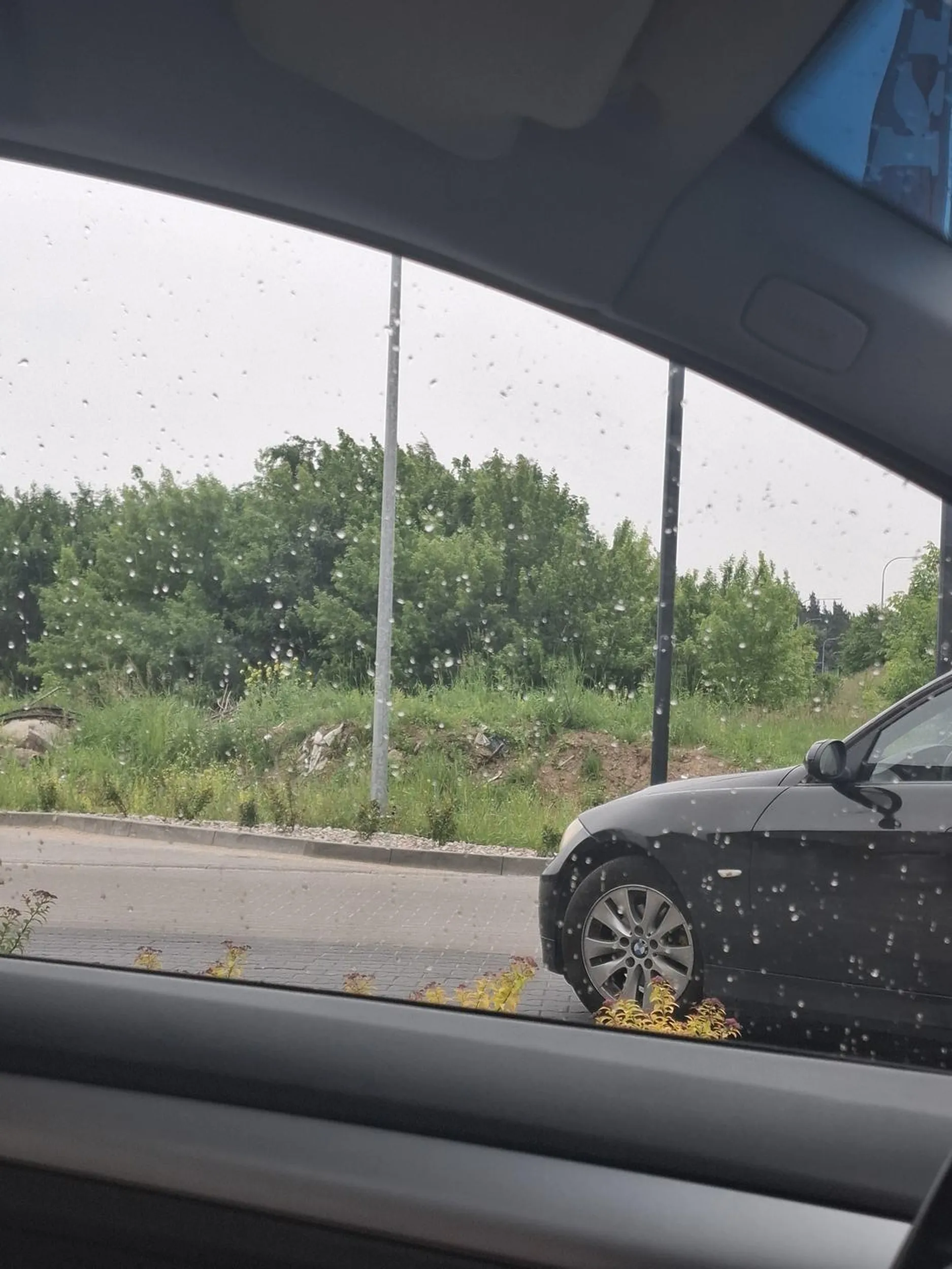 w kolejce do drive thru przy kfc w Iławie stoi kilkanascie metrow za samochodem co sklada zamowienie i blokuje tym caly ruch i parking. zamiast skupic sie na tym co sie dzieje to woli w tym swoim gruzie obsciskiwac sie z jakas lala