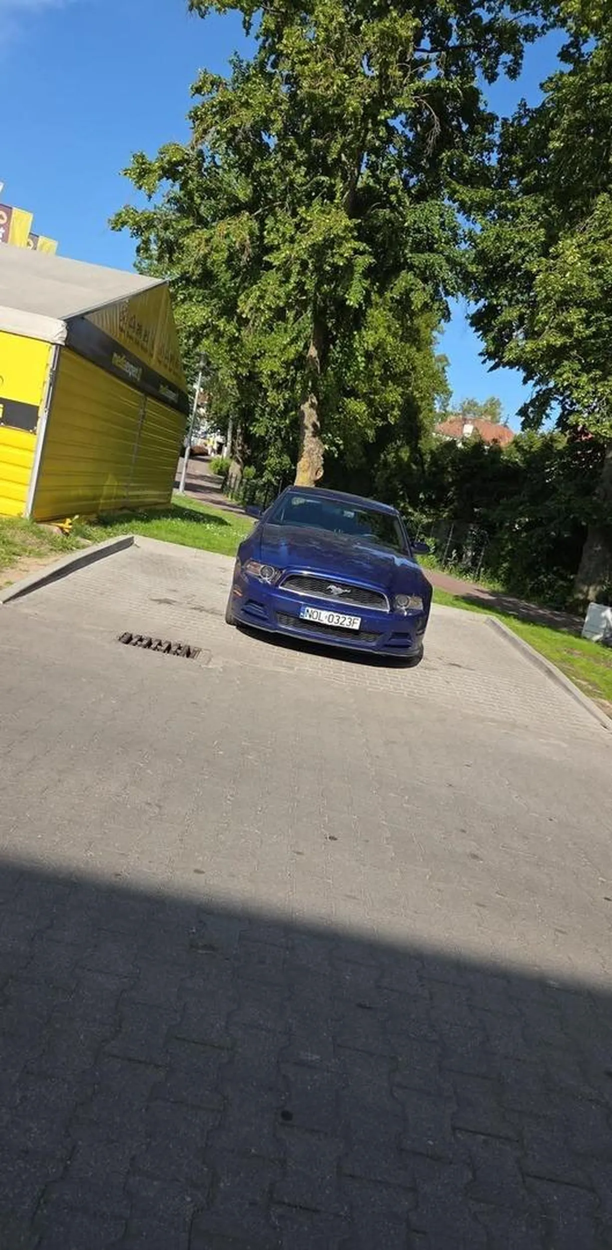 Parkuje na środku bez biletu.