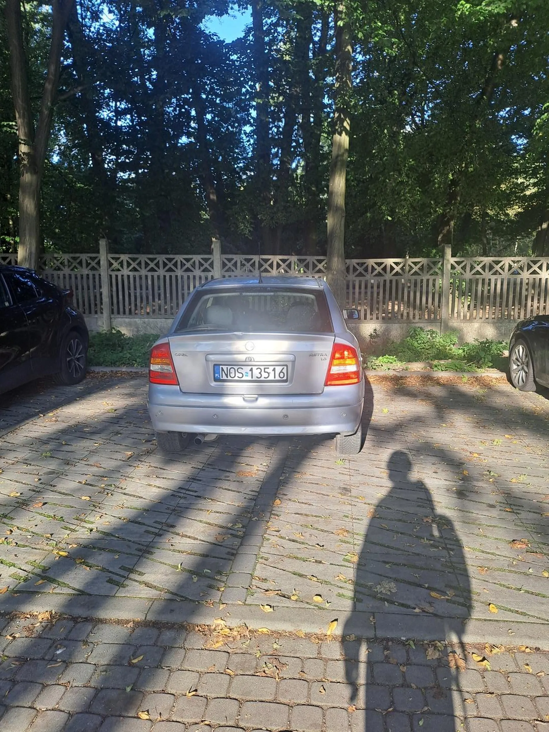 Naucz się sieroto parkować