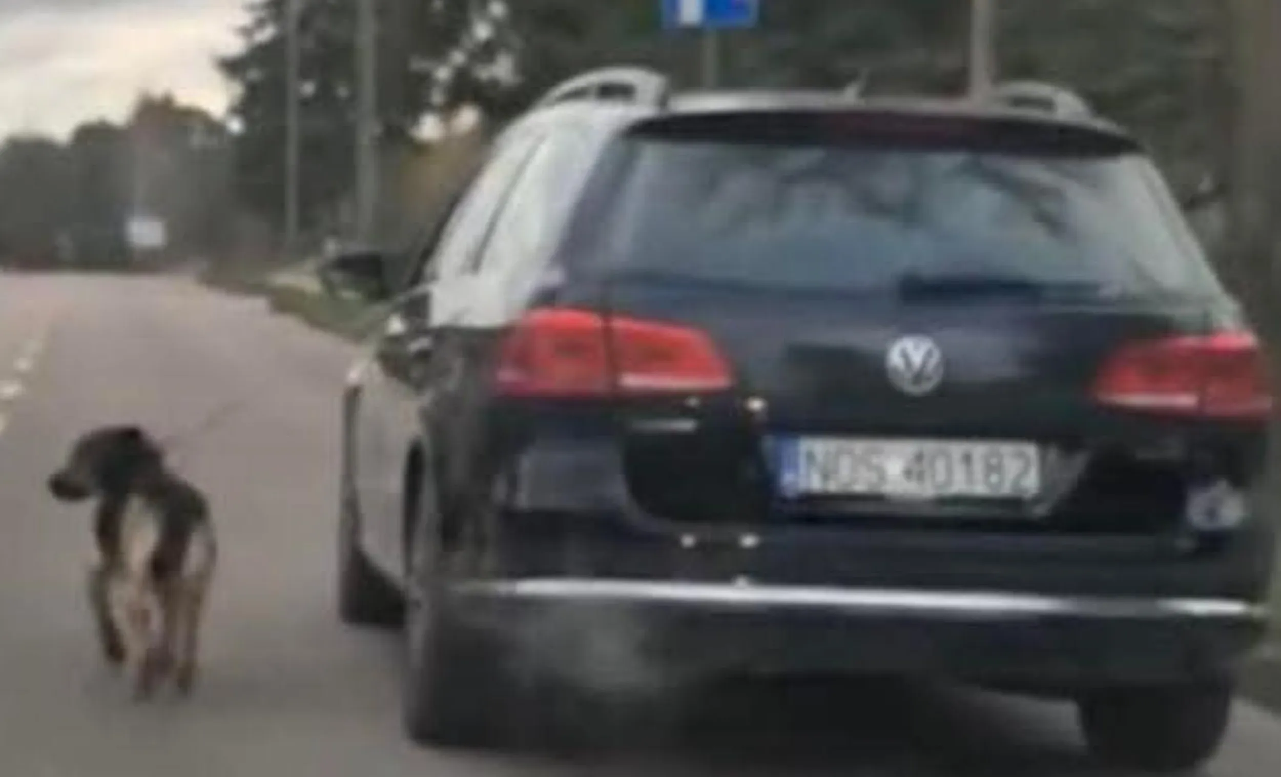 Zdjęcie chyba mówi wszystko