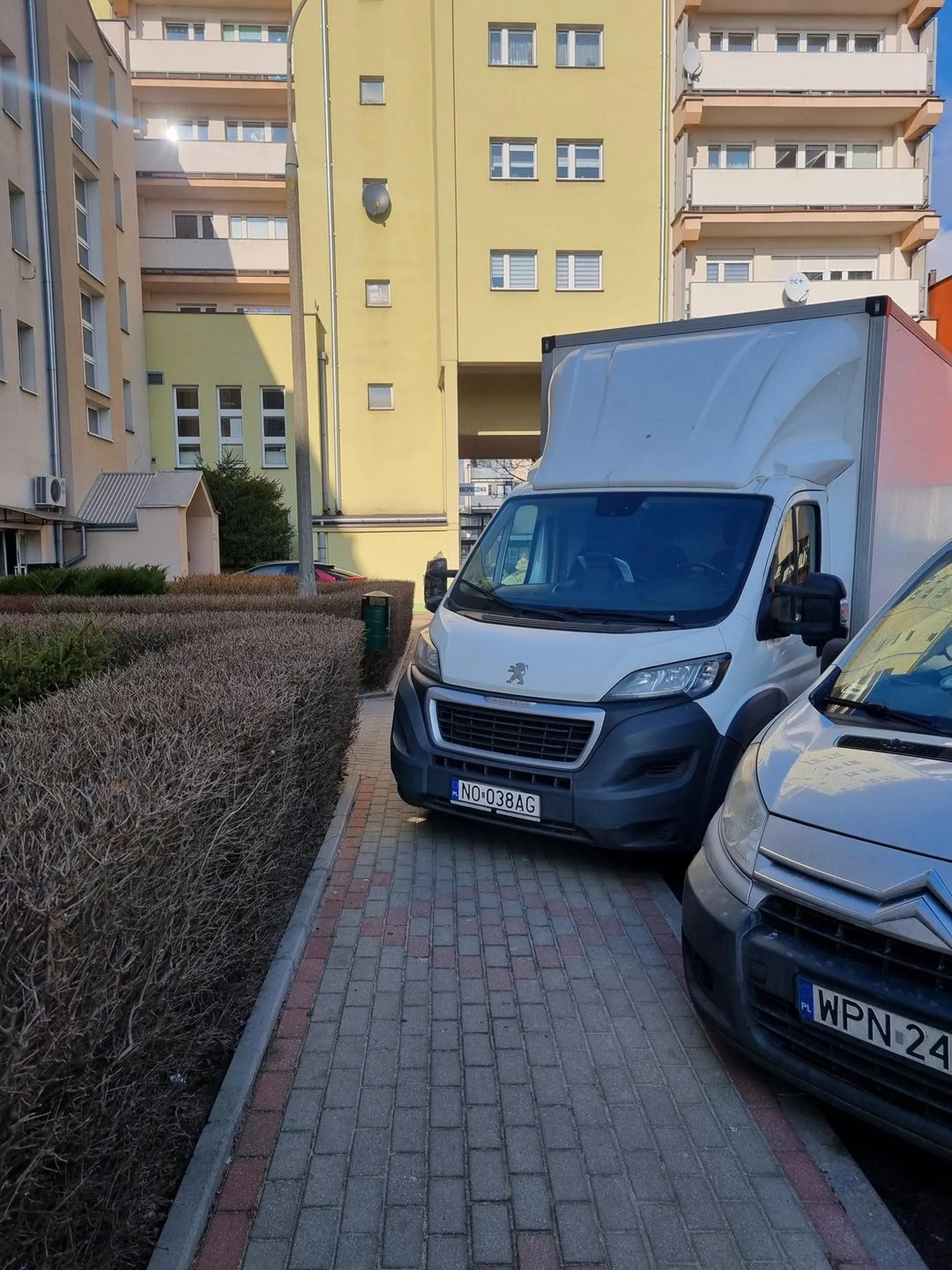 Ktoś ma jakiś pomysł jak pierwszy ma przejść chodnikiem?