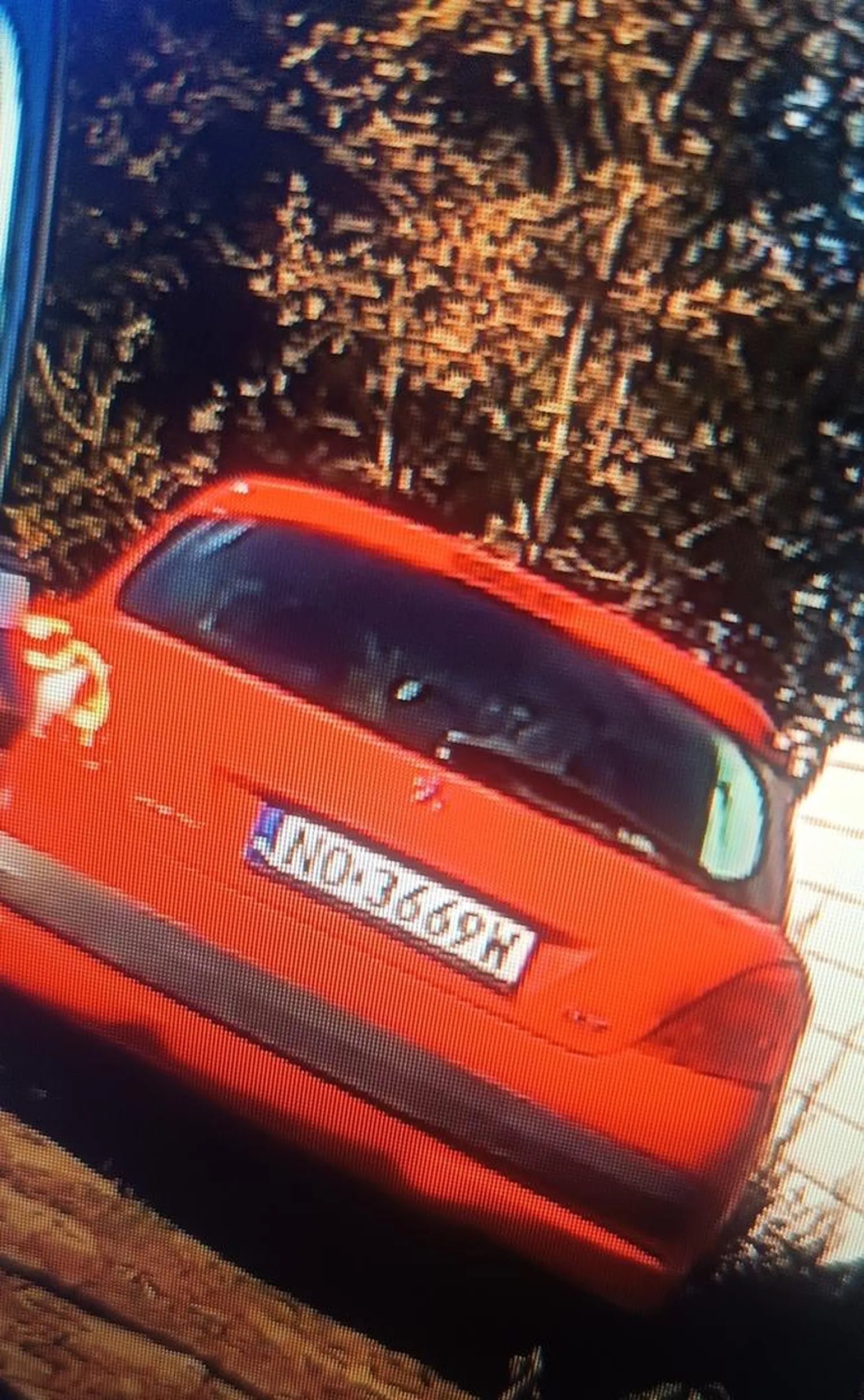 Patologia nie potrafi parkować