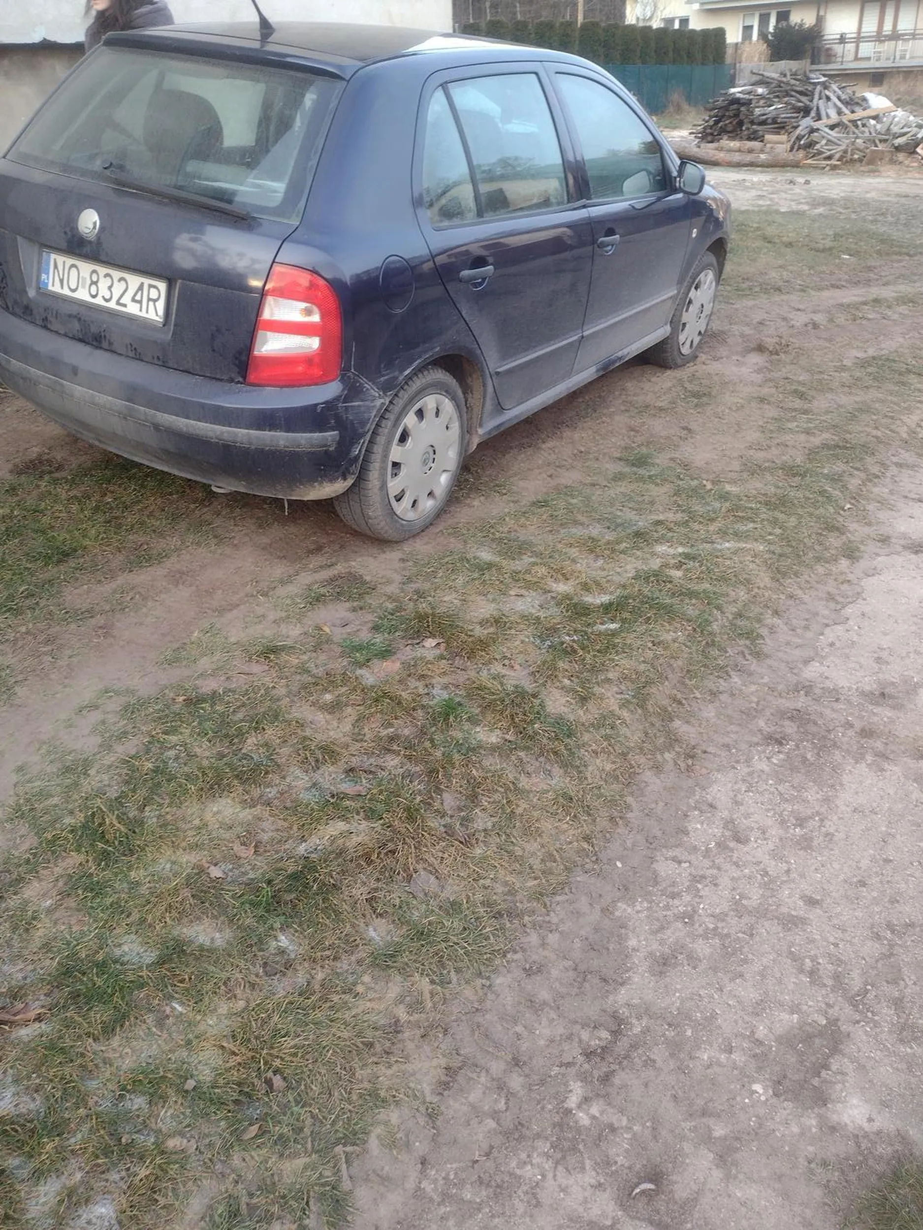 PARKOWANIE NA PASIE ZIELENI