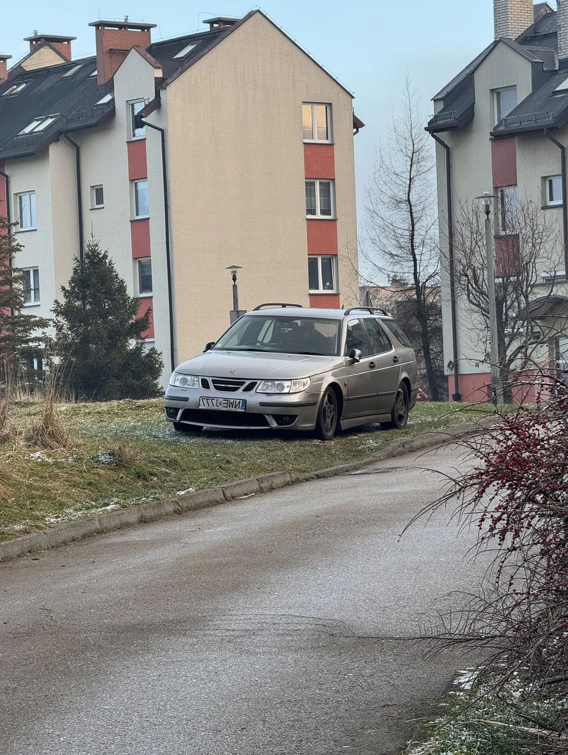 Kierowca sprawny intelektualnie inaczej. Niszczy non stop zieleń na osiedlu.