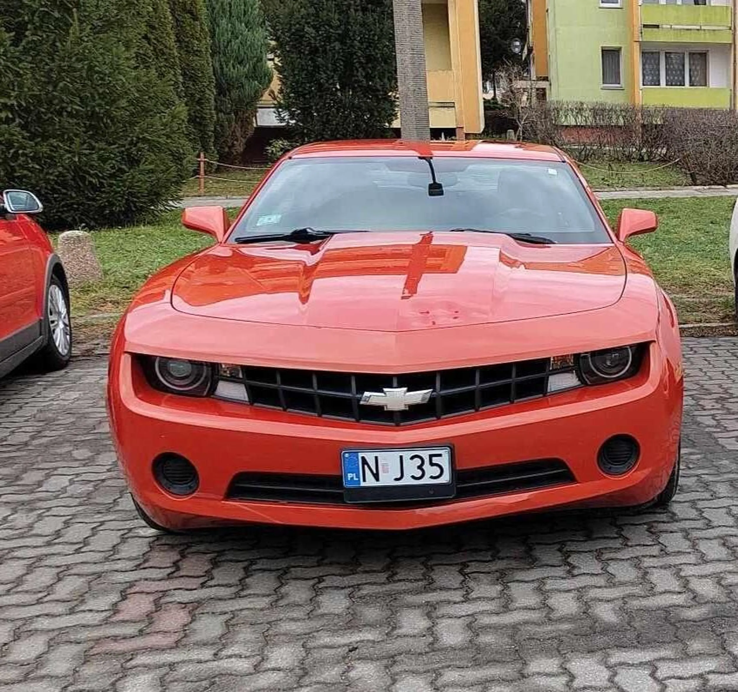 Przejechał mi kota, wcisnął 20 chomików, chomiki przegryzały przewody w domu, dom spłonął, a ja nadal nie powiedziałem córce, że kot jest pasztetem. Ale autko ładne, czerwone takie.