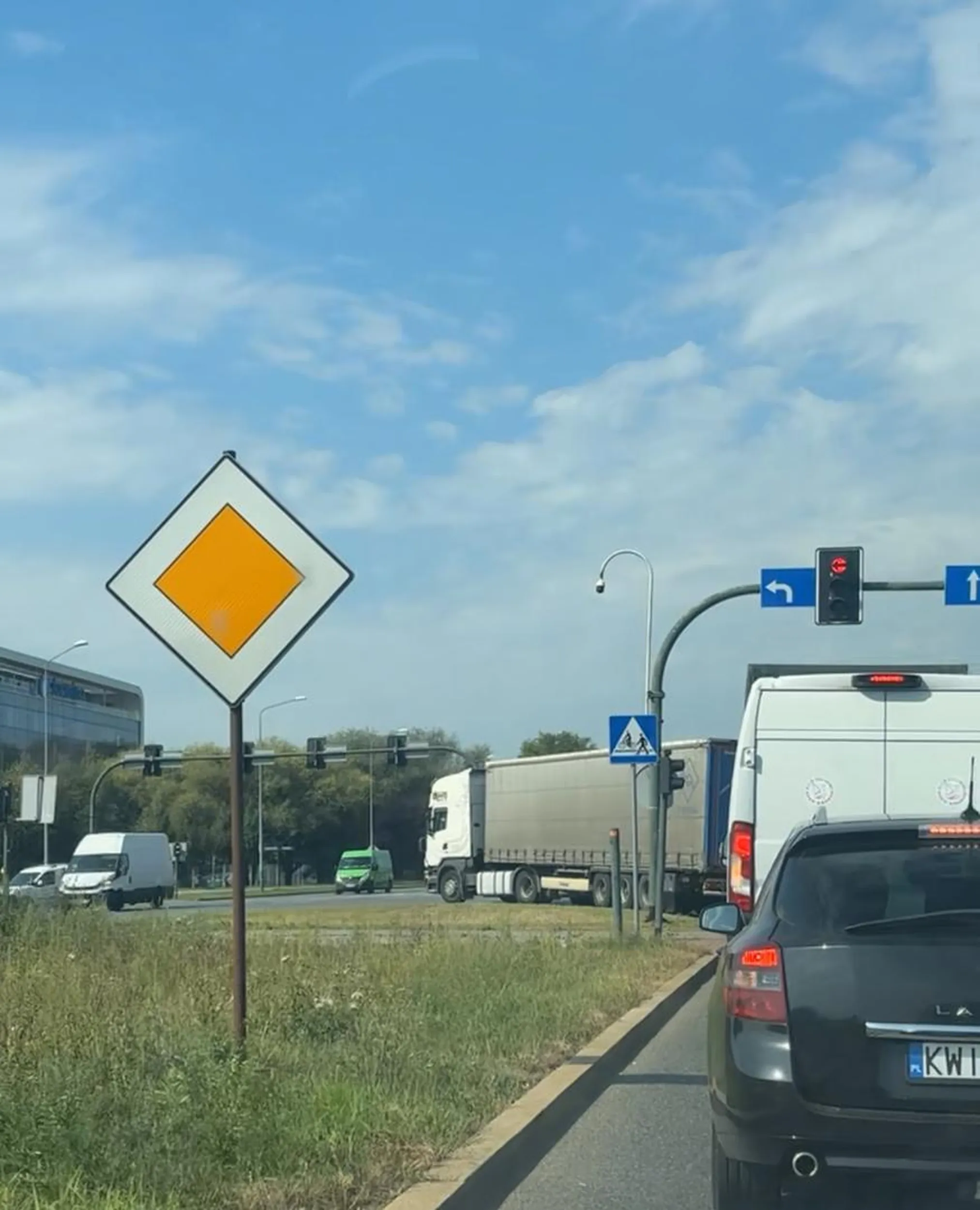 Kierofca „zawodowy”