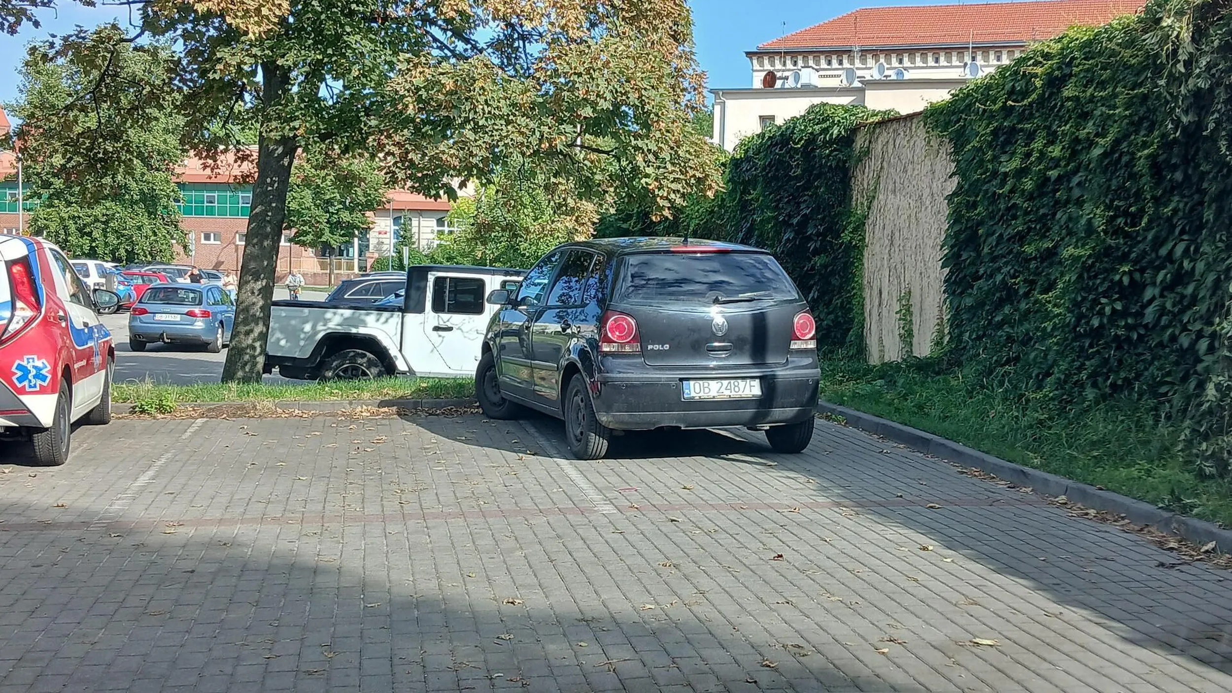 Niedorozwój drogowy ma prawie metr po prawej, a blokuje zatoczkę po lewej na parkingu szpitalnym. Prawie jakby TIREM przyjechał.