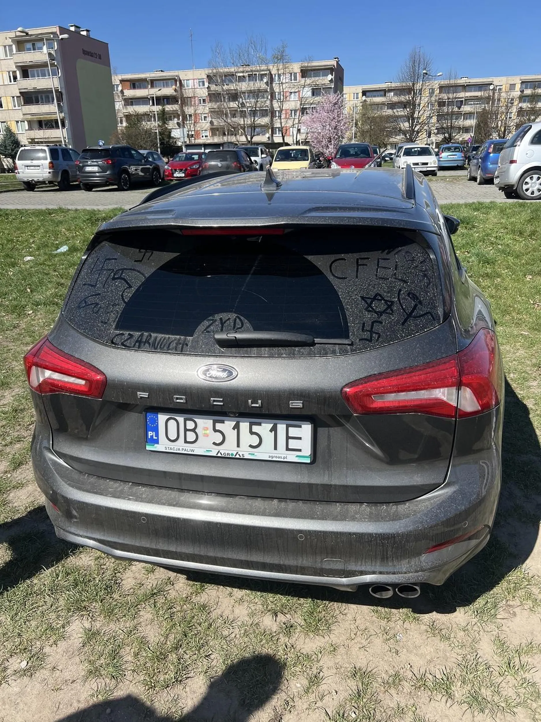 niszczy zielen za co go nienawidze. przechodzil obok wyzywajac pod nosem mojego czarnego kolege. nie pozdrwaiam