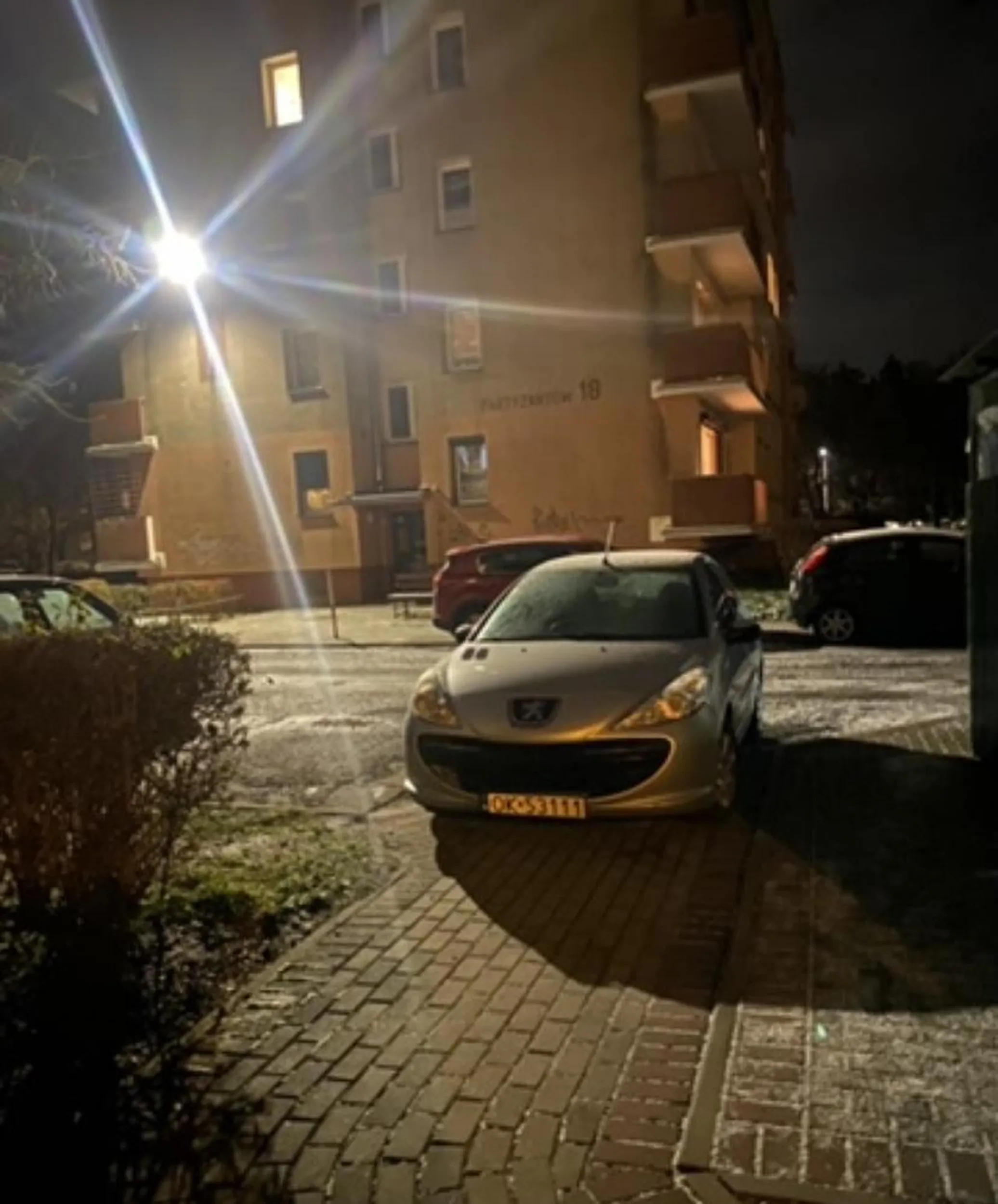 Mistrz parkowania, szczególnie na chodniku