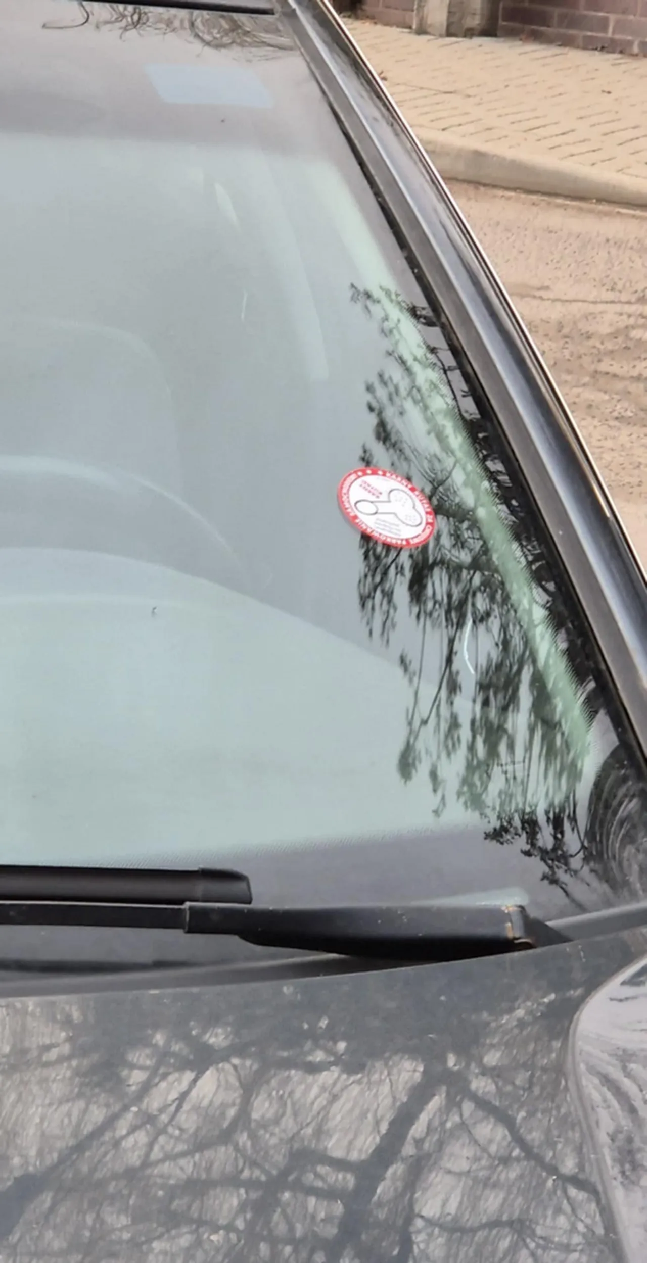 Naucz się parkować cepie