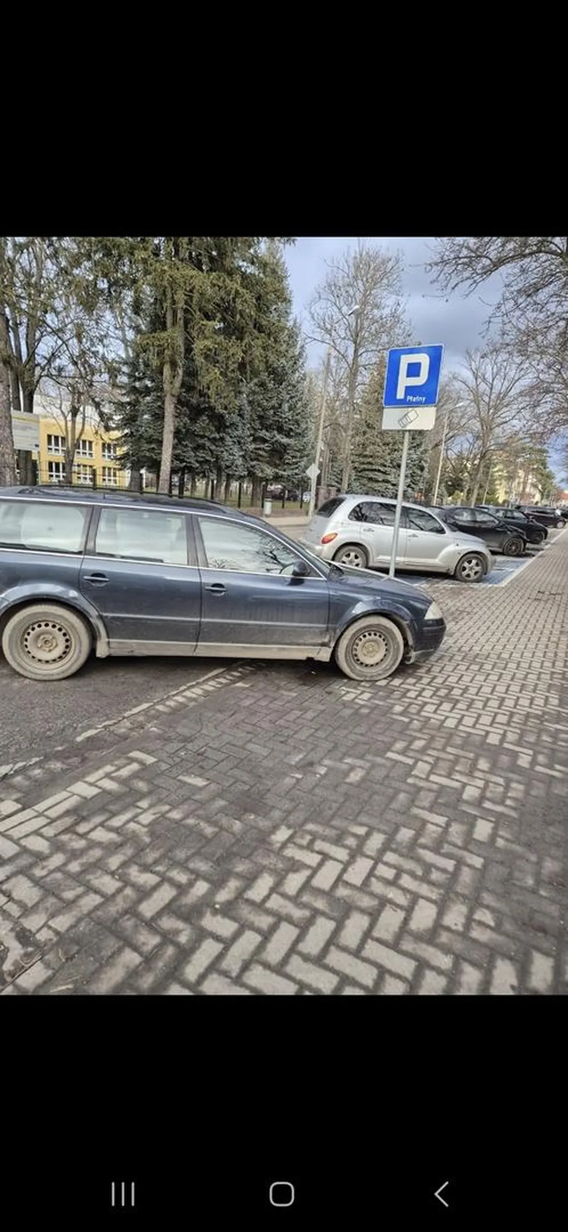 Naucz się parkować cepie