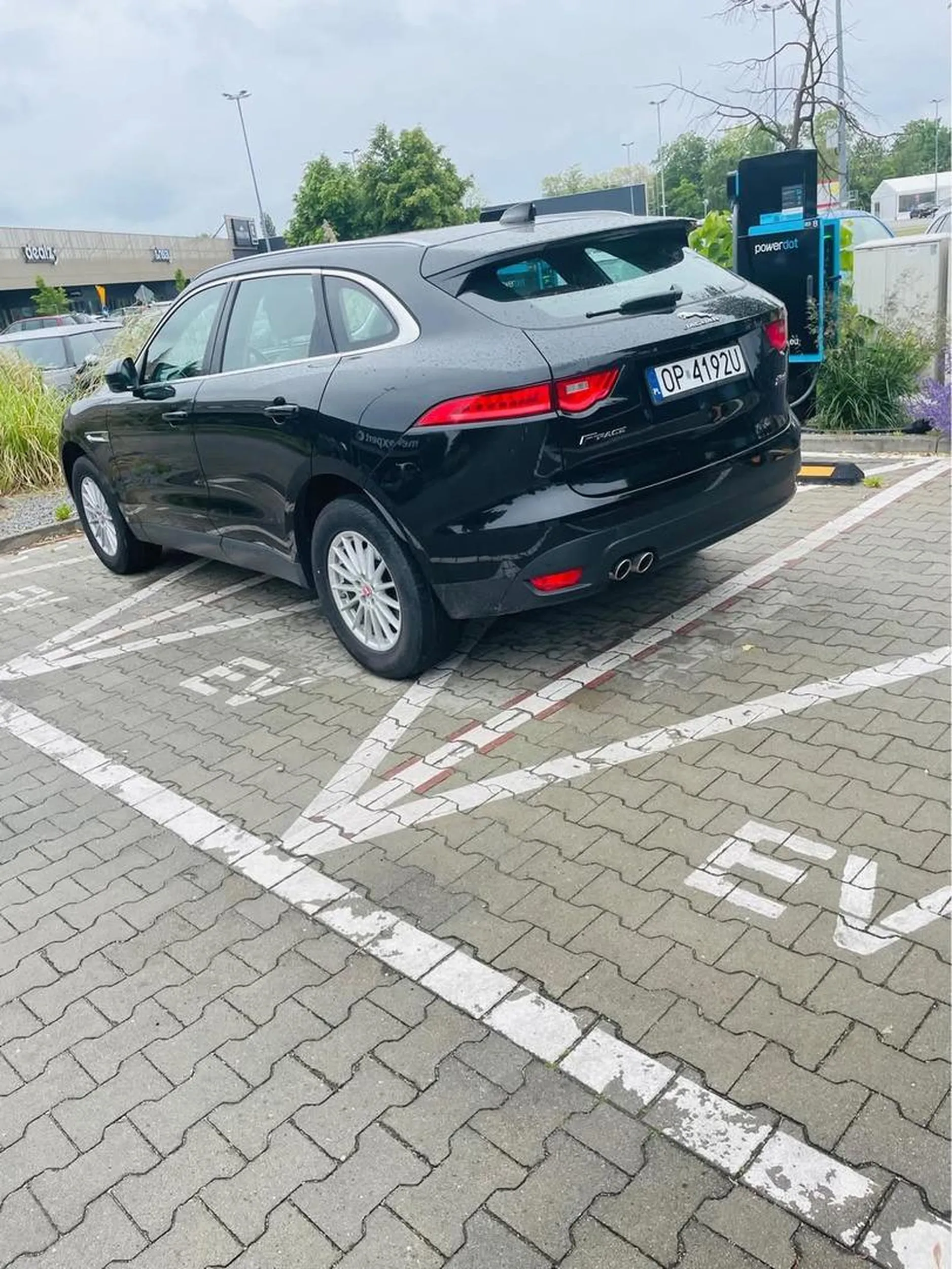 Może się nauczy parkować