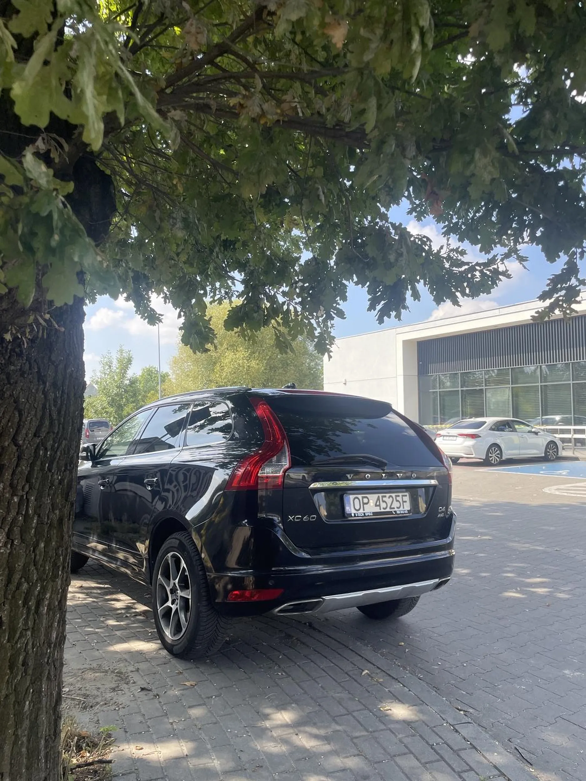 Cipa stanęła na chodniku mimo tego że ma dziesiątki wolnych miejsc parkingowych pod biedronką