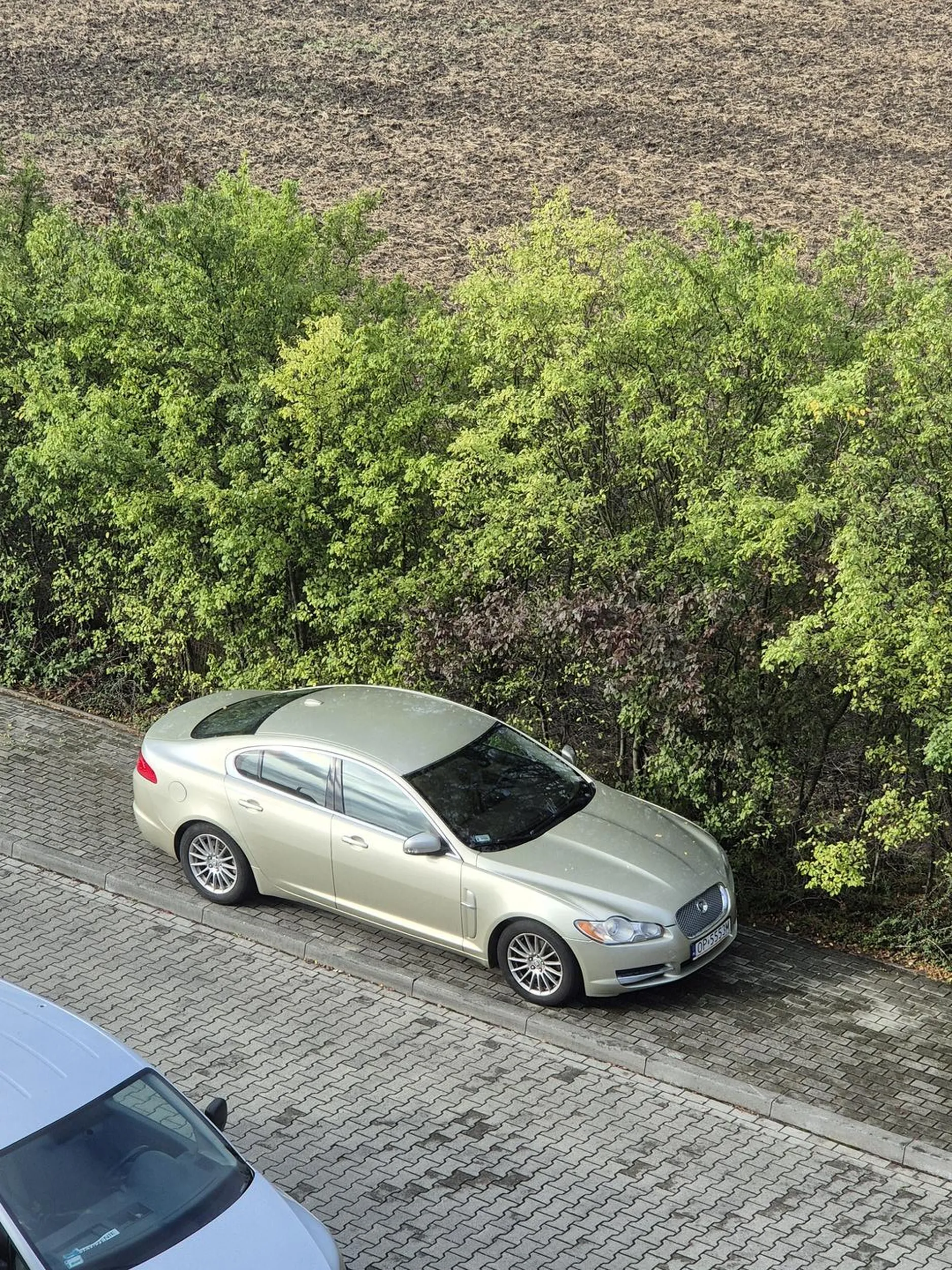 Leniu widzisz, że zaparkowałeś na chodniku?