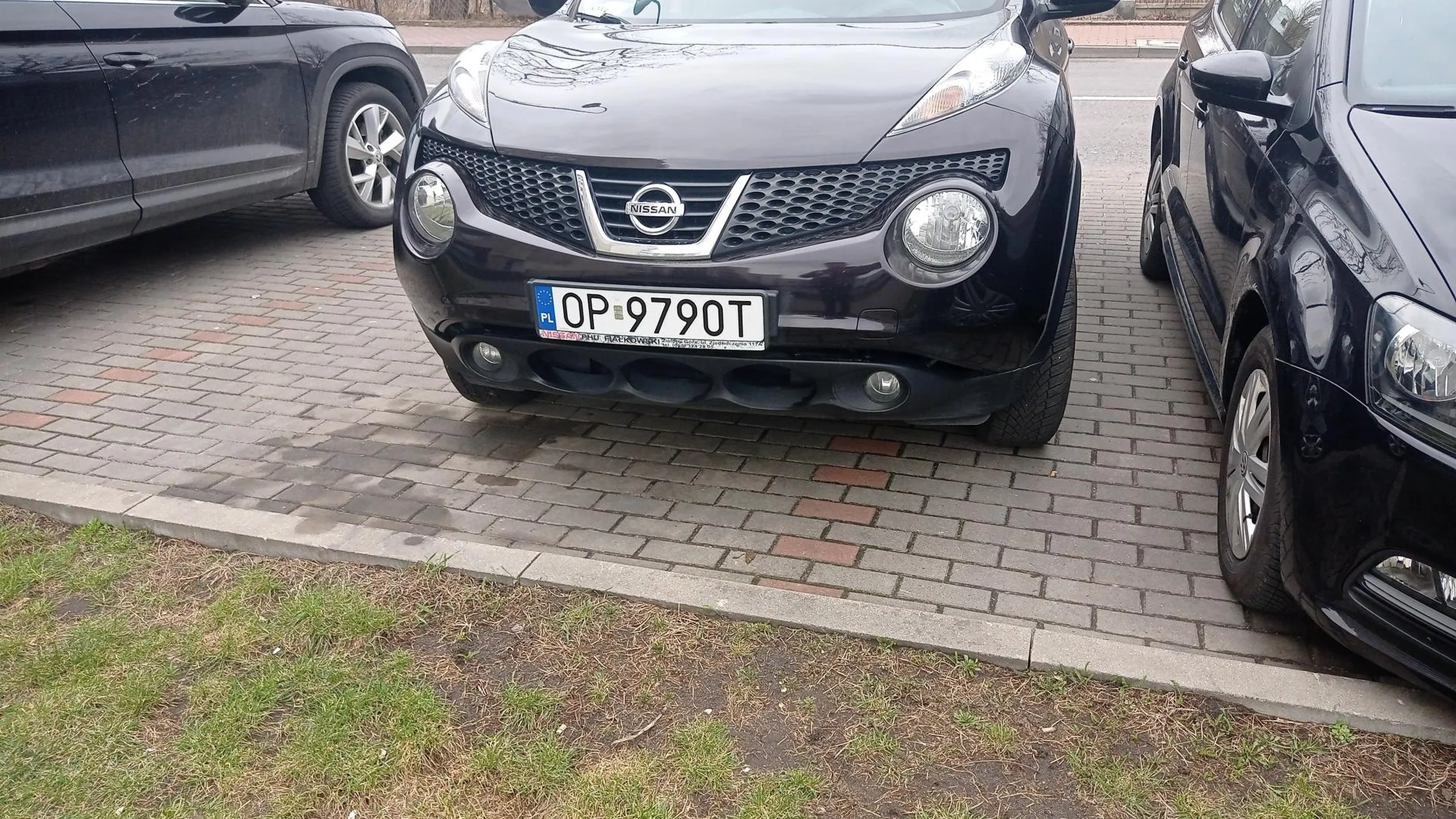 Karny kutas się należy na pół szyby