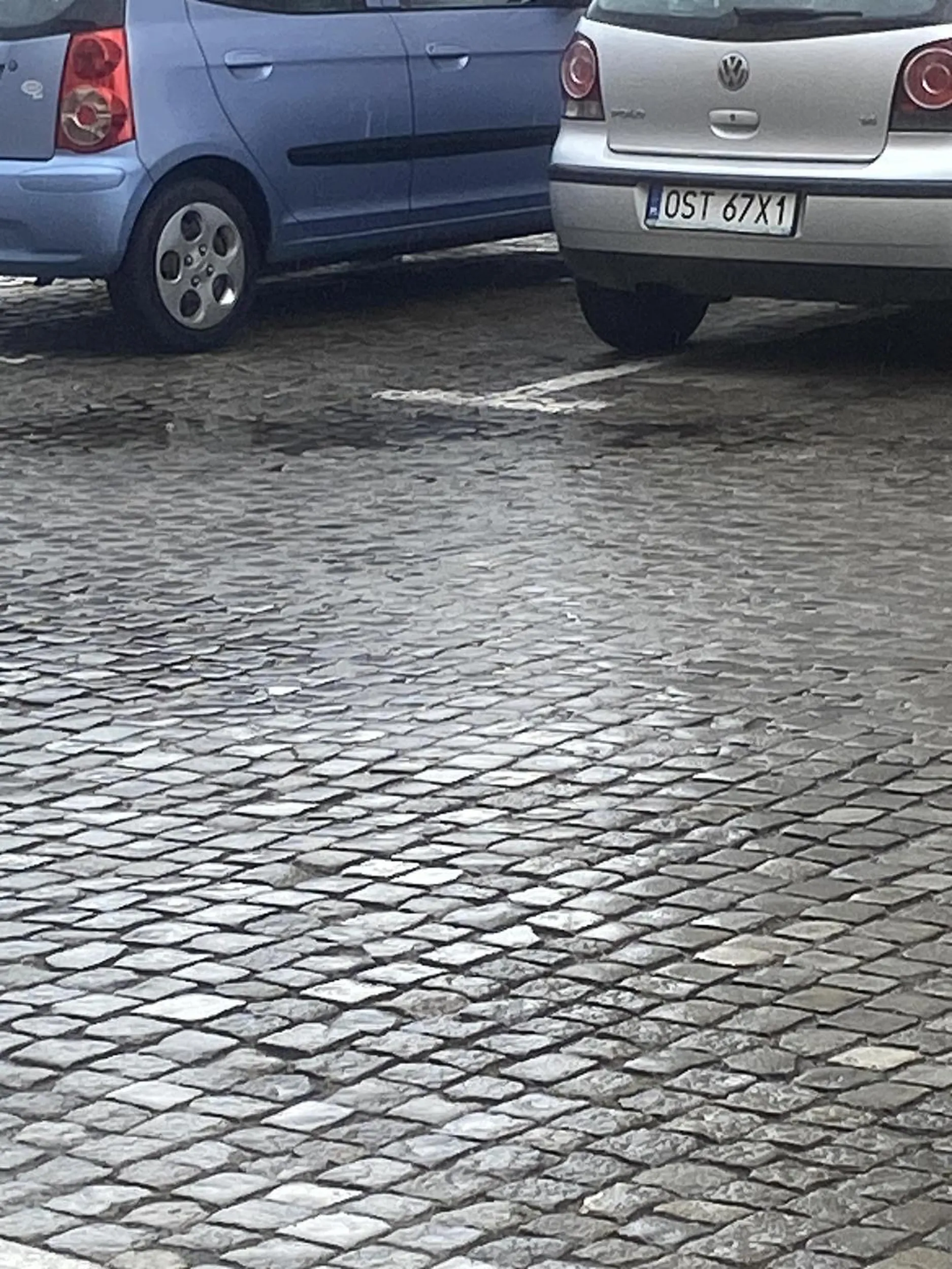 Parkować nie potrafisz???